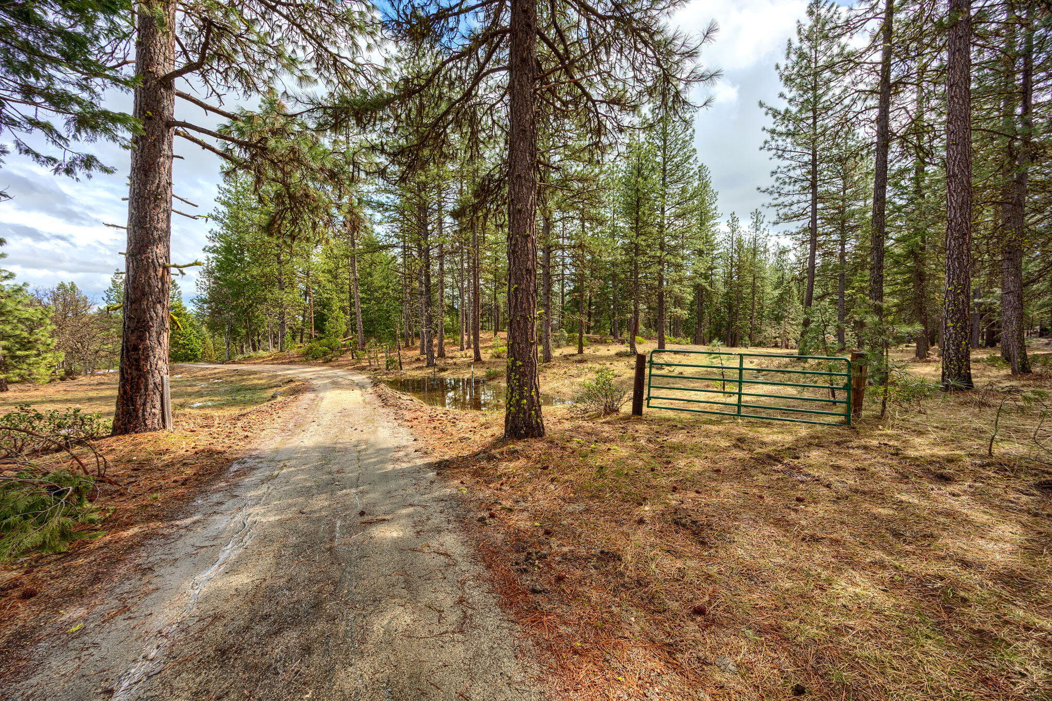 15743 Hwy 66