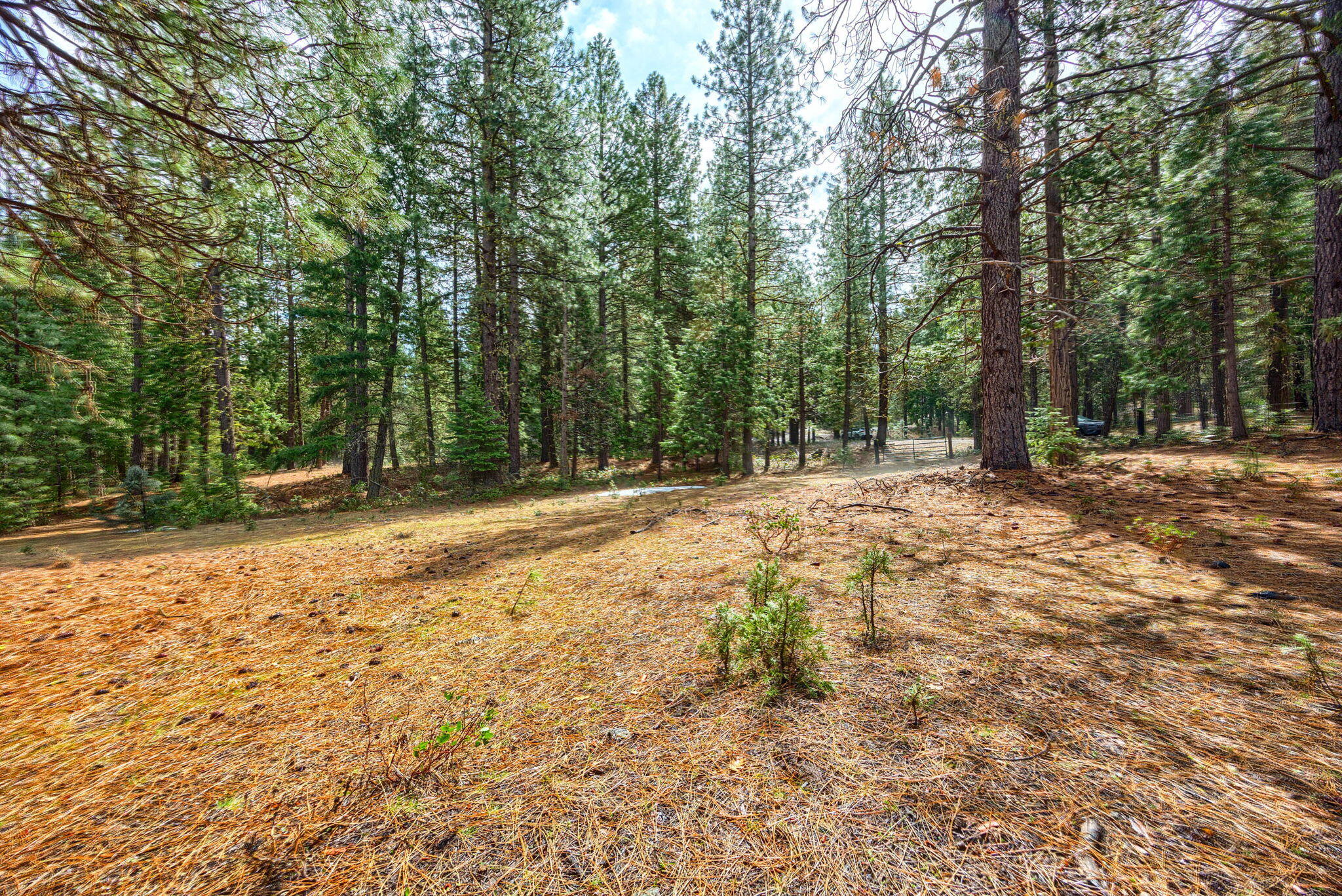 15743 Hwy 66