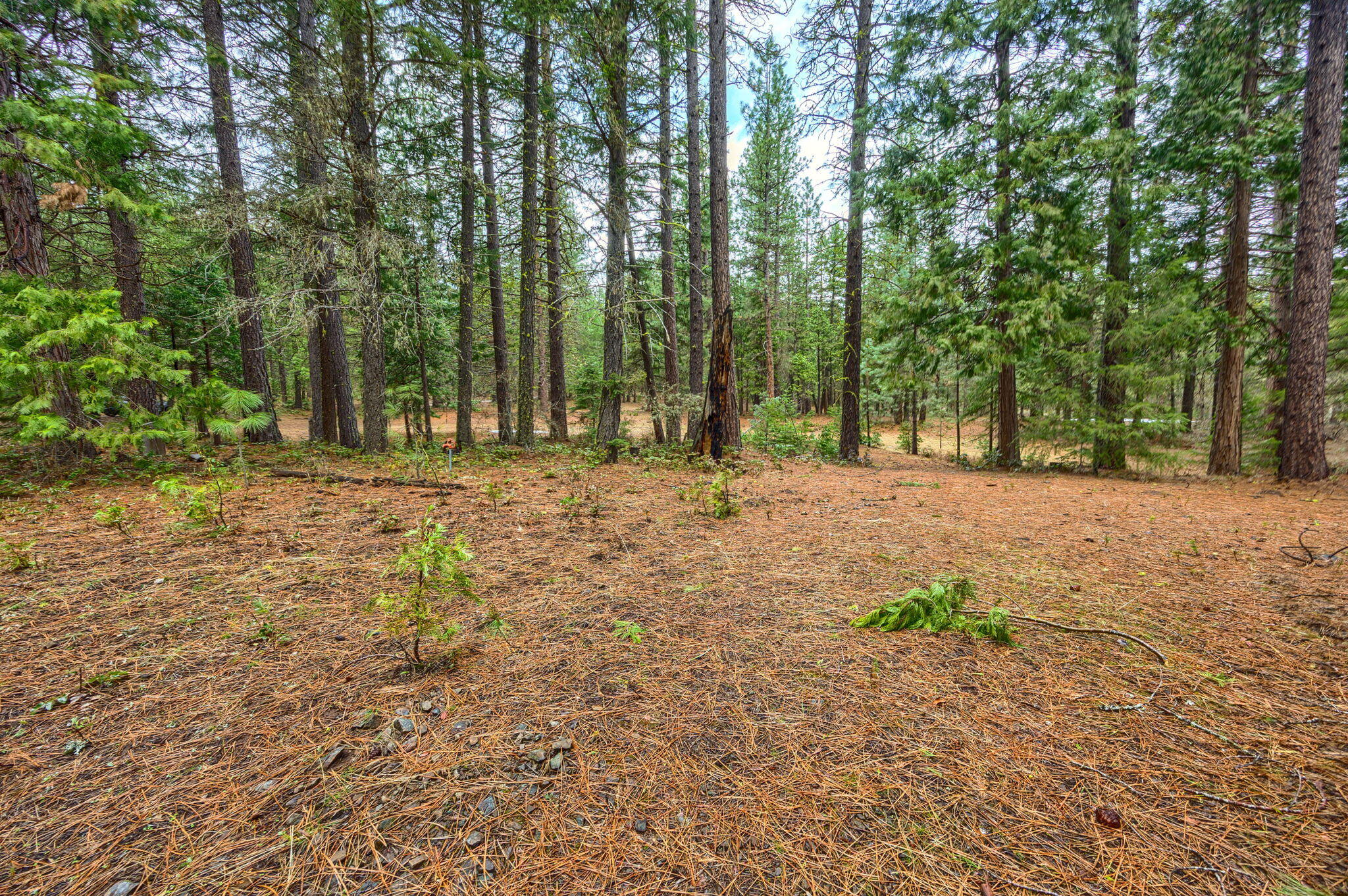 15743 Hwy 66