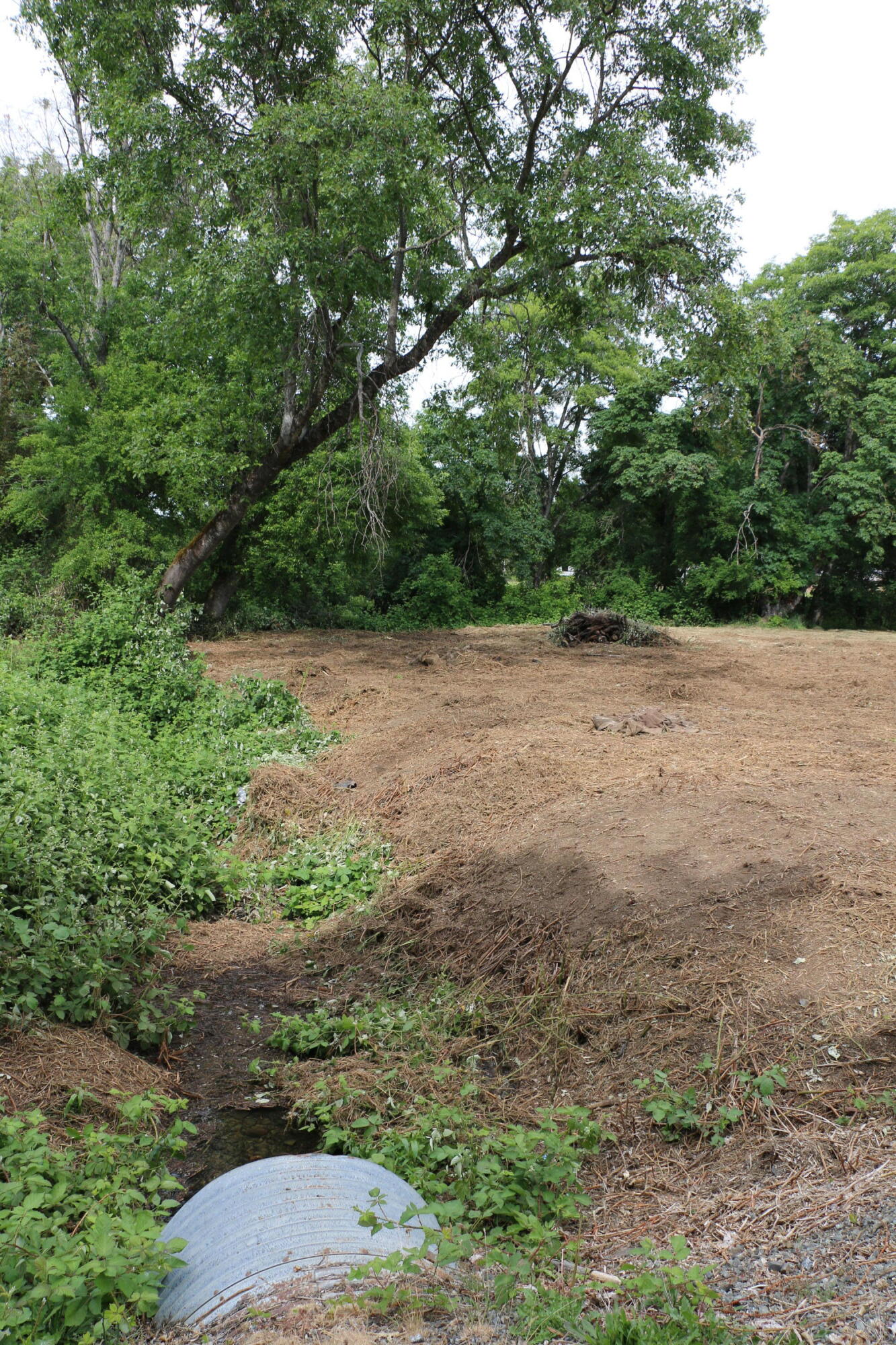 W Hills Terrace, 10447433