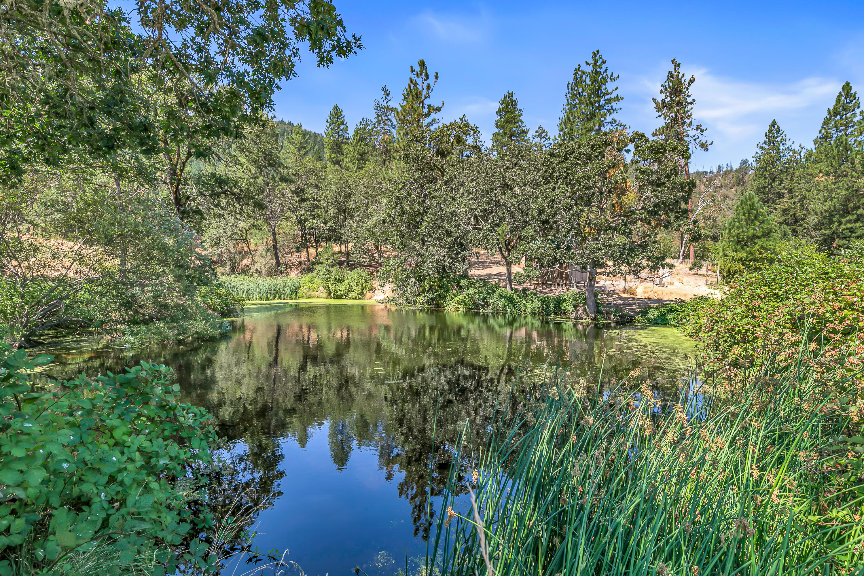 17600 Highway 238