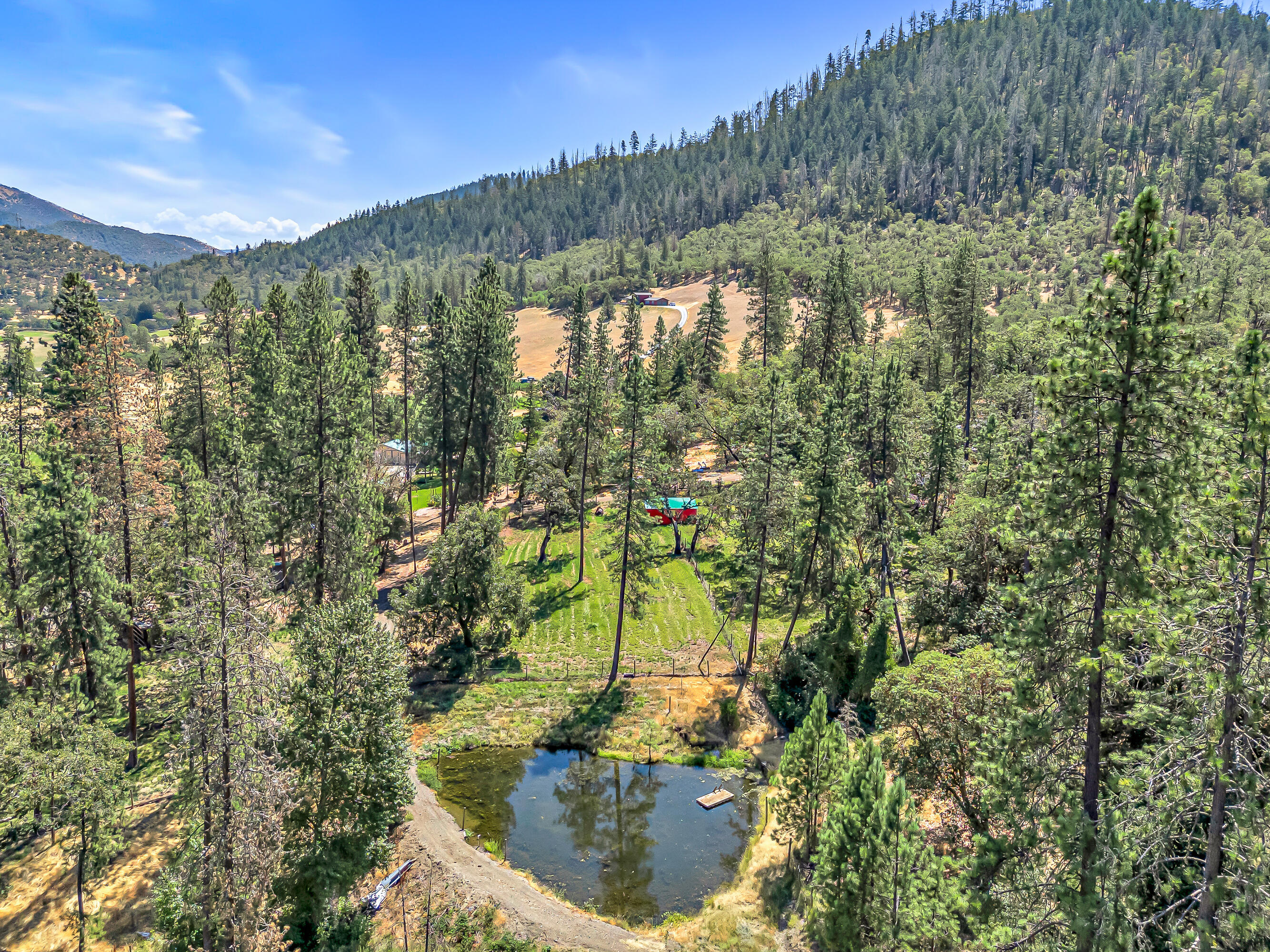 17600 Highway 238