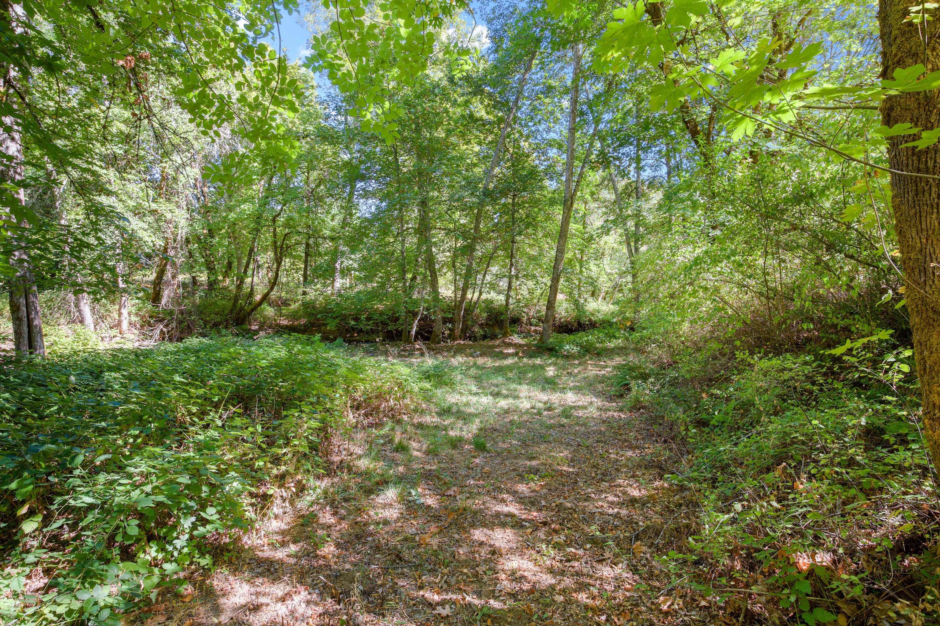268 Pickett Creek Road
