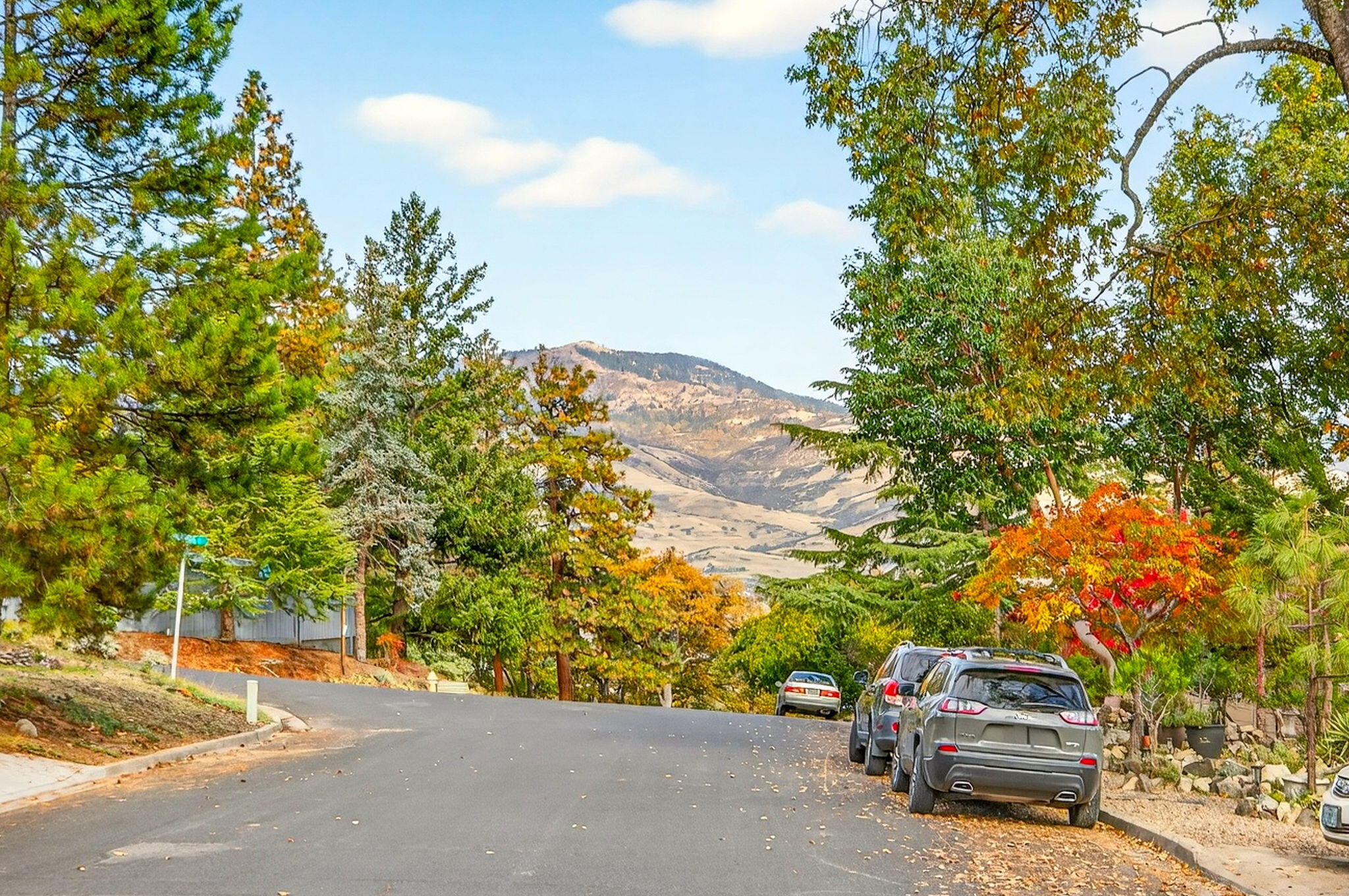 1012 Pinecrest Terrace