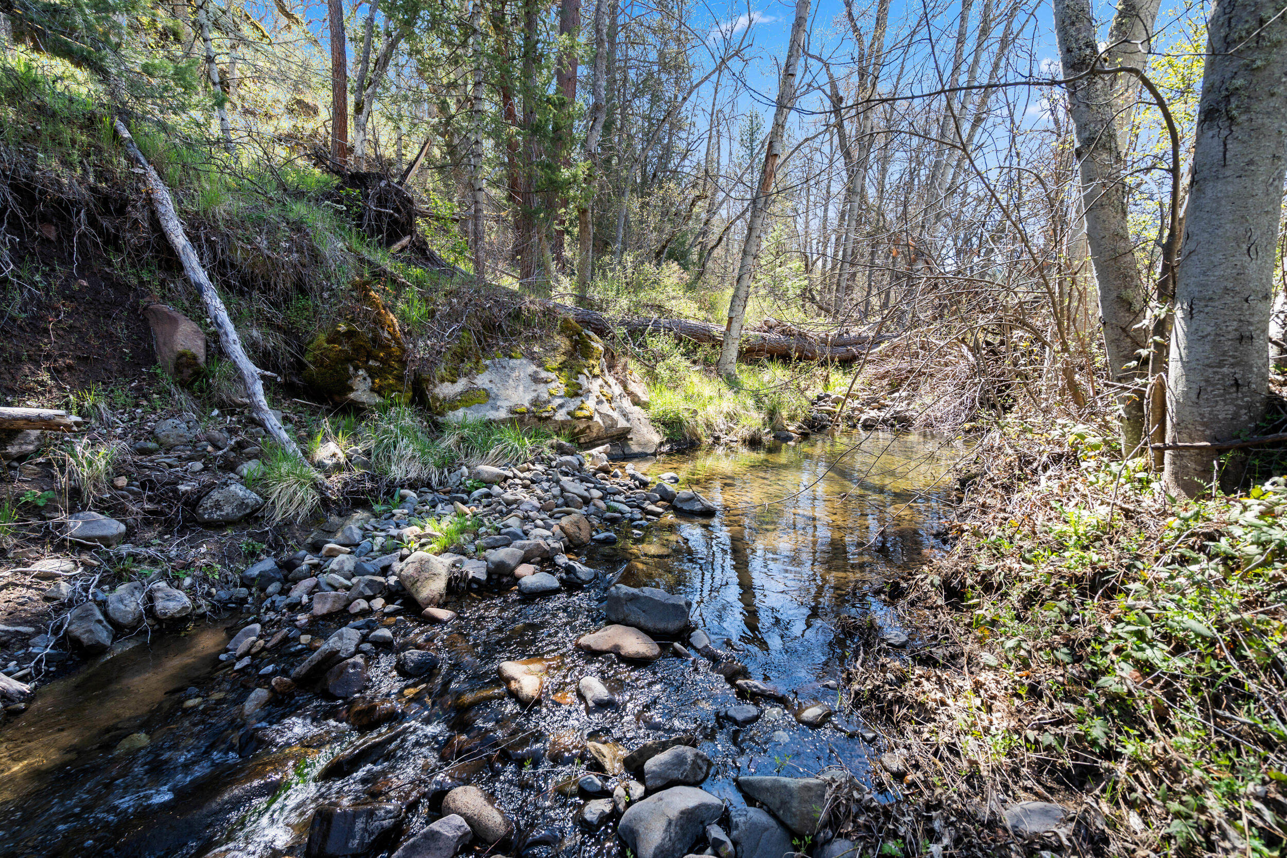 Buckhorn Road, 1000