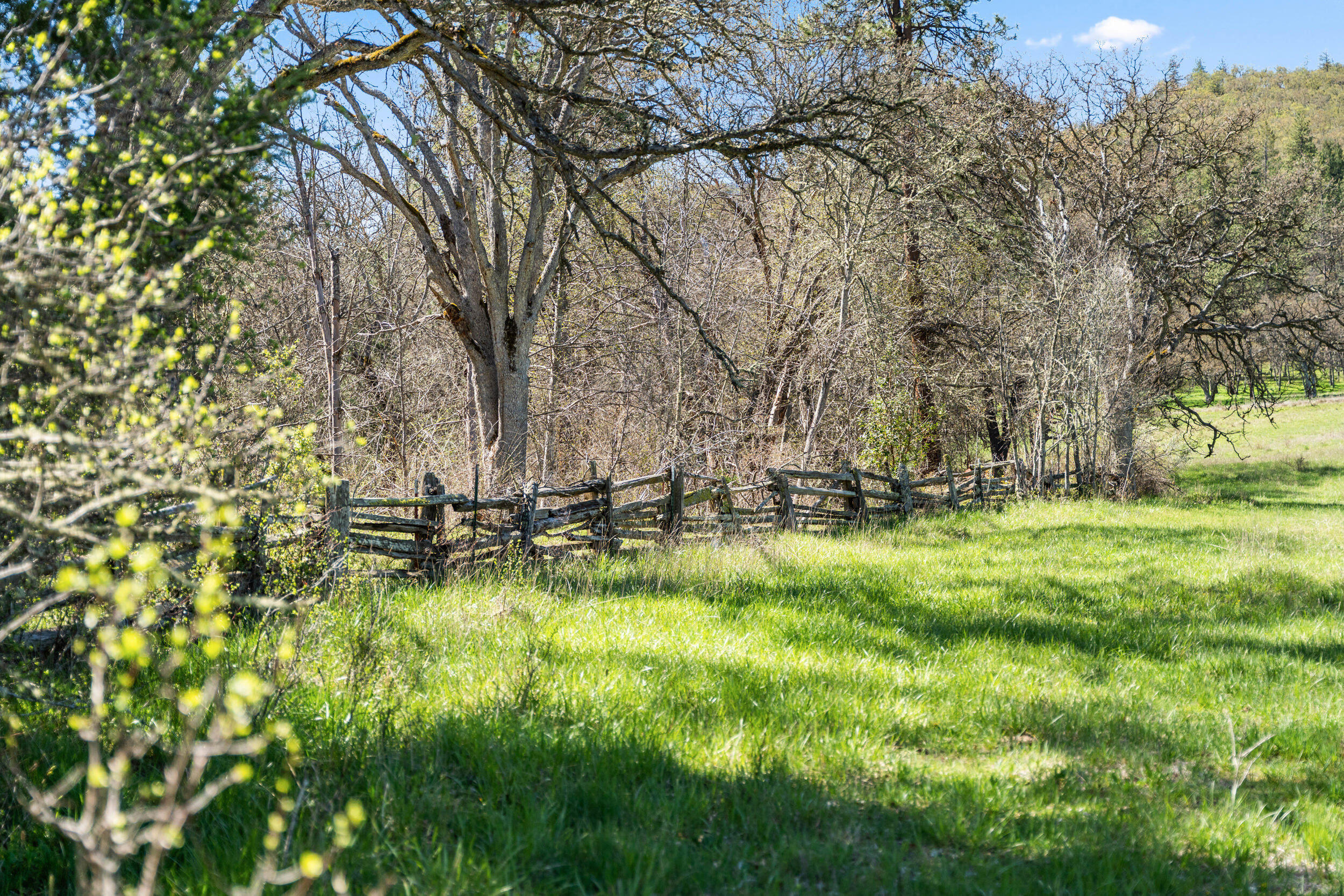 Buckhorn Road, 1000