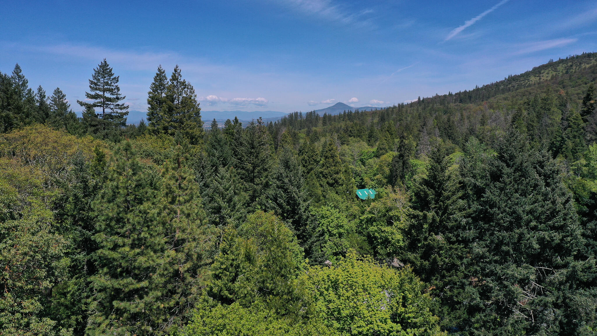 9320 Wagner Creek Road