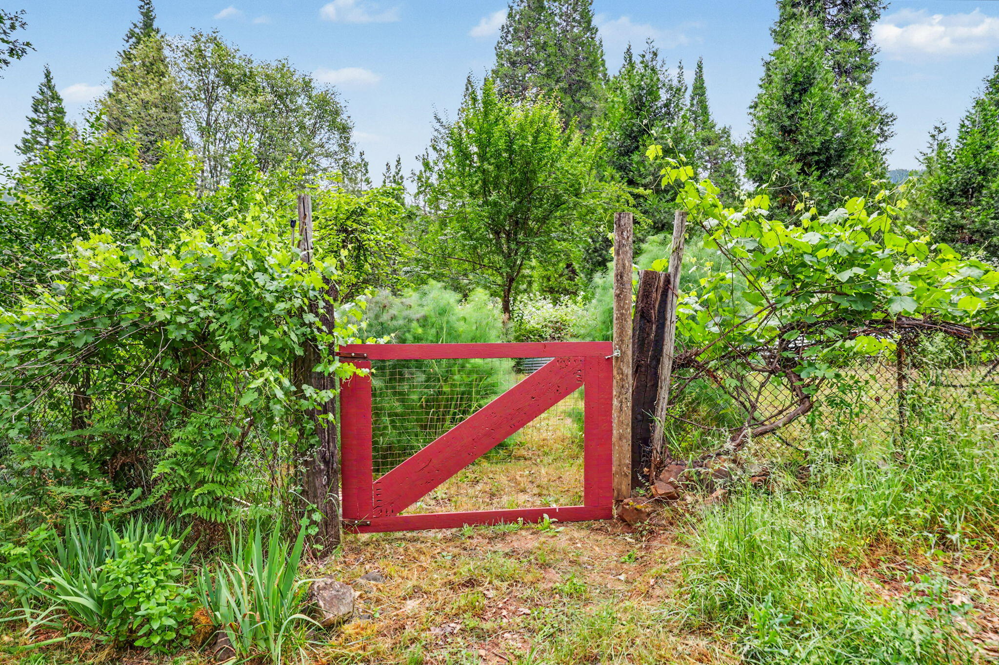 206 Lower Wolf Creek Road