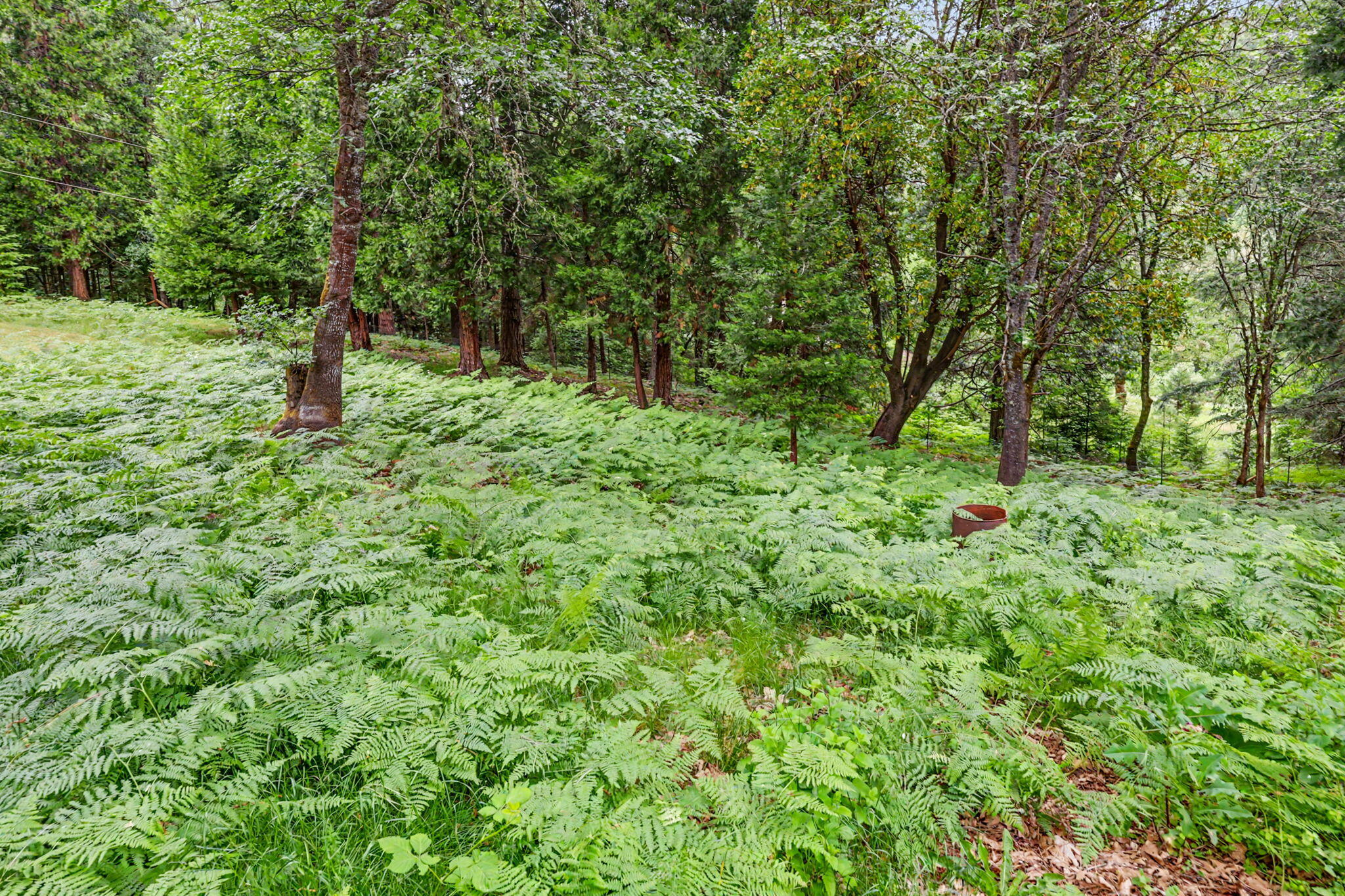 206 Lower Wolf Creek Road