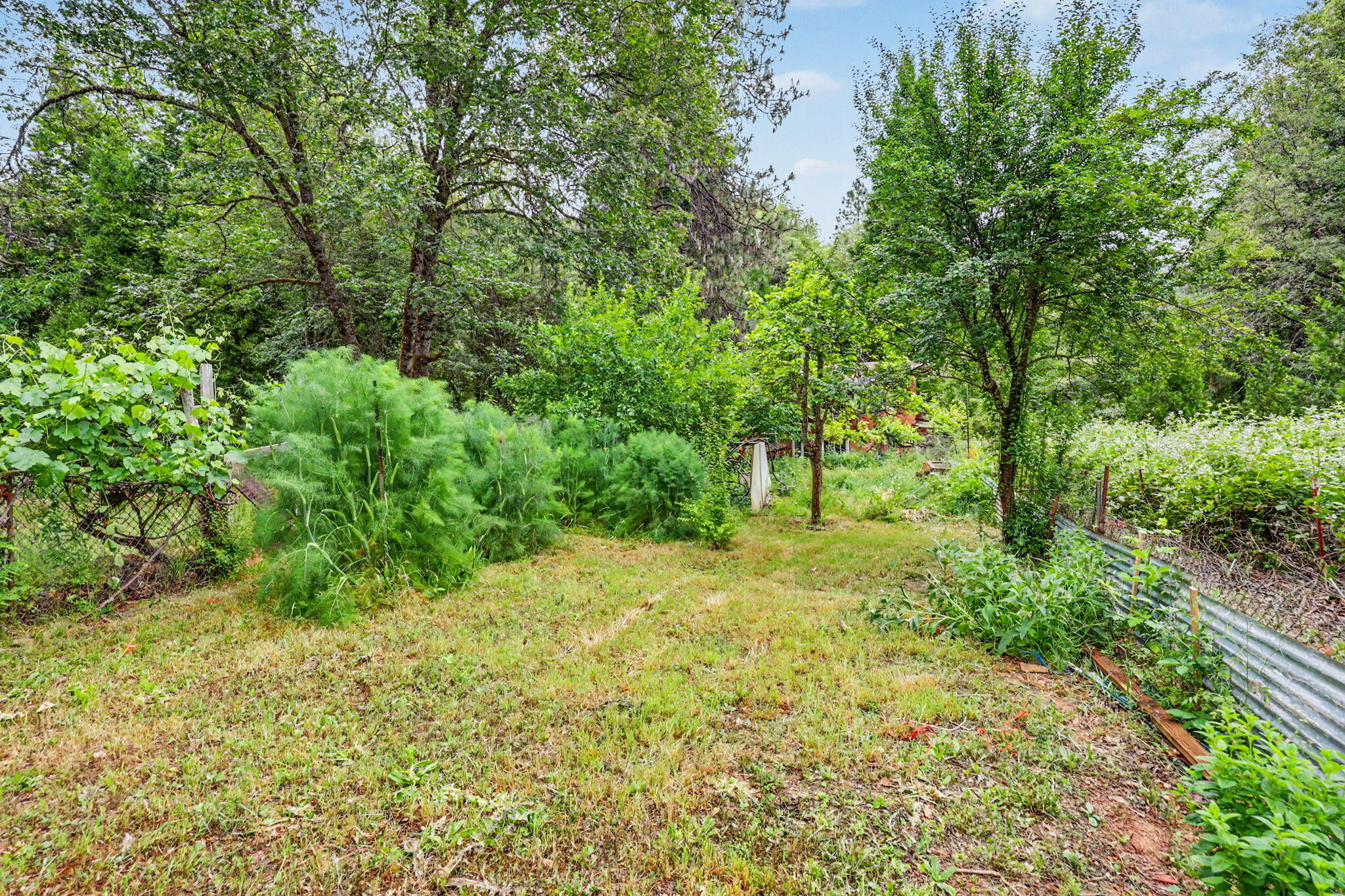 206 Lower Wolf Creek Road