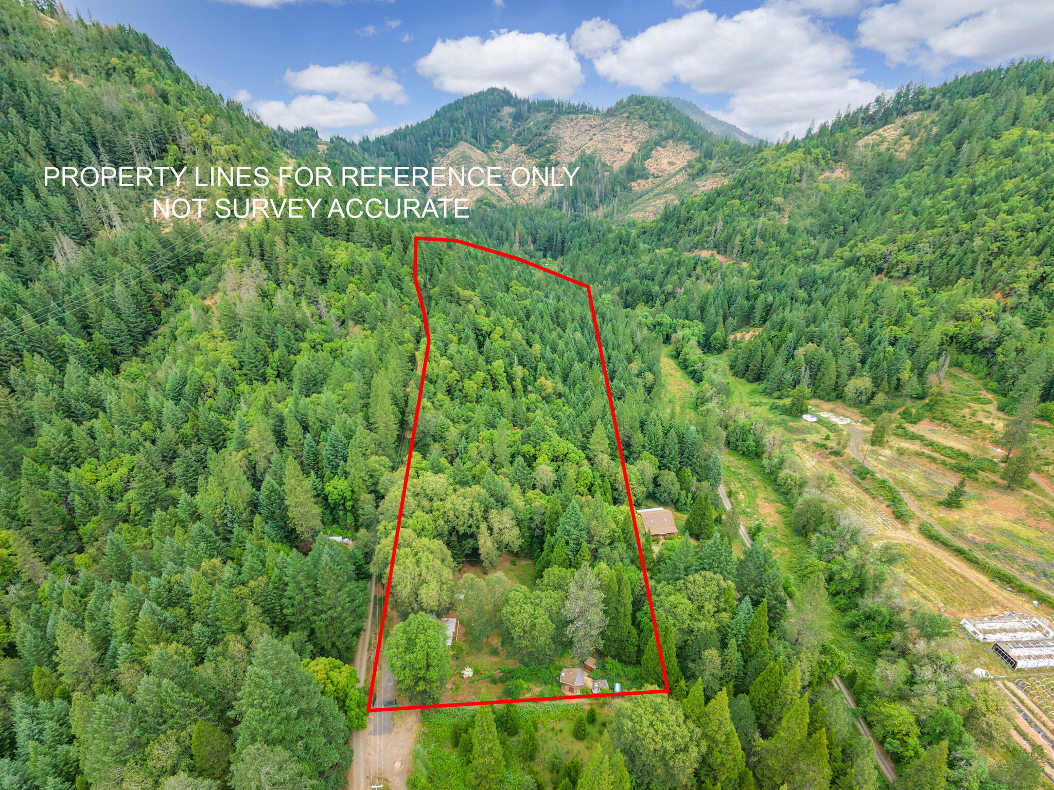 206 Lower Wolf Creek Road