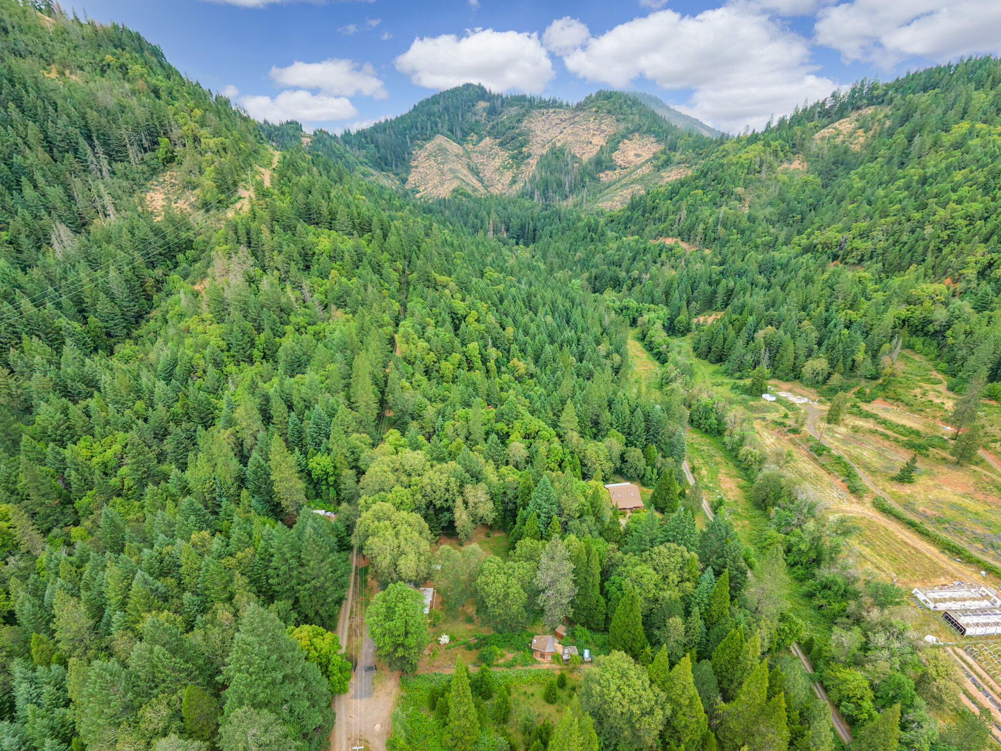 206 Lower Wolf Creek Road
