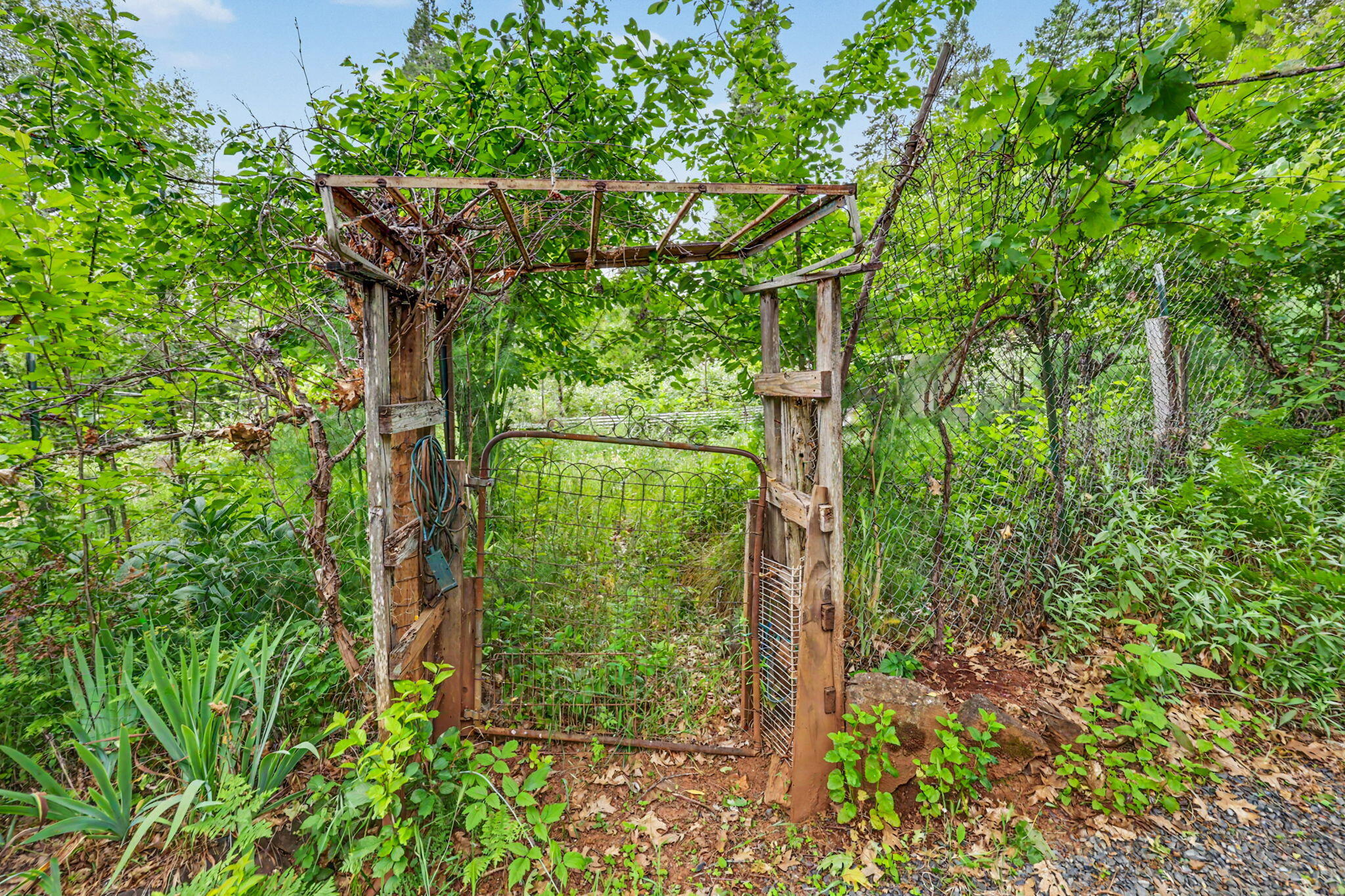 206 Lower Wolf Creek Road