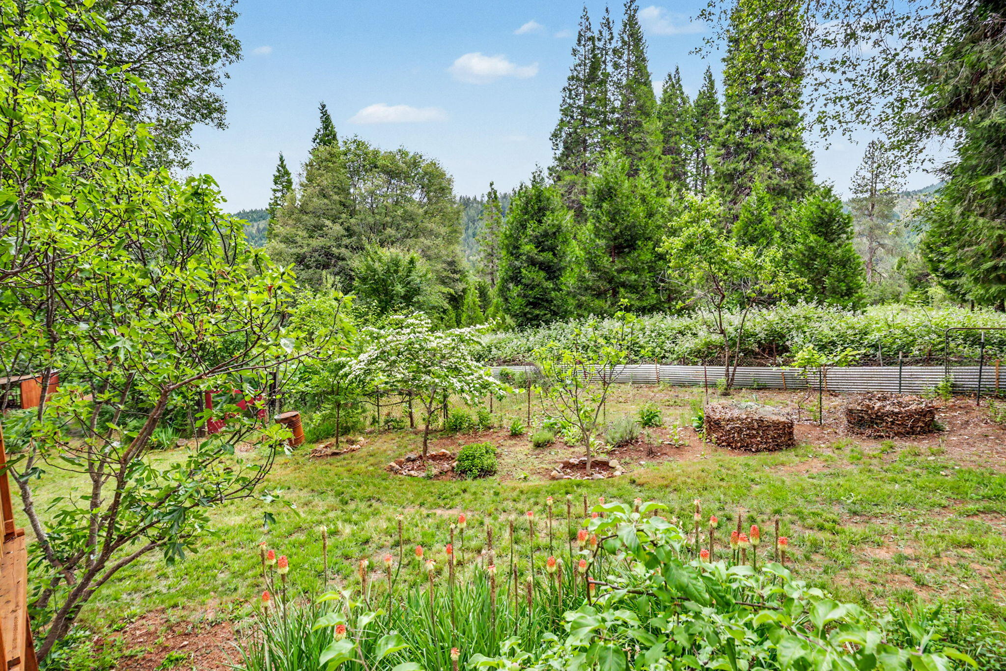 206 Lower Wolf Creek Road