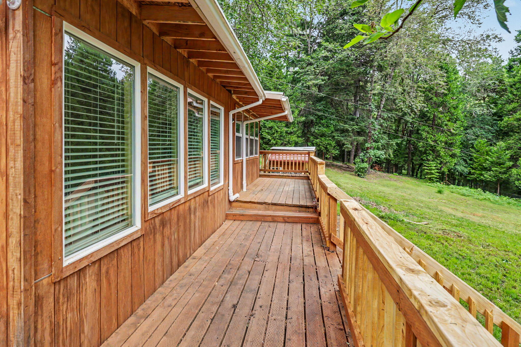 206 Lower Wolf Creek Road