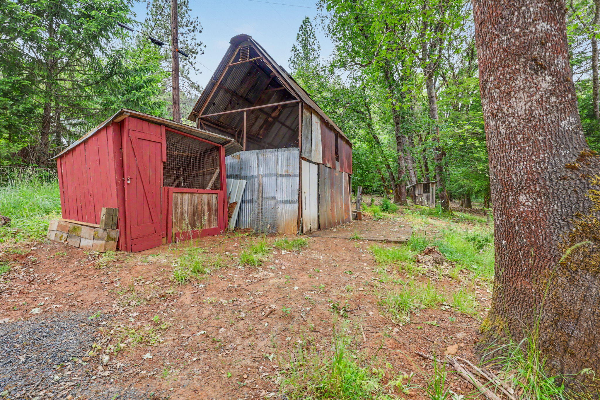 206 Lower Wolf Creek Road