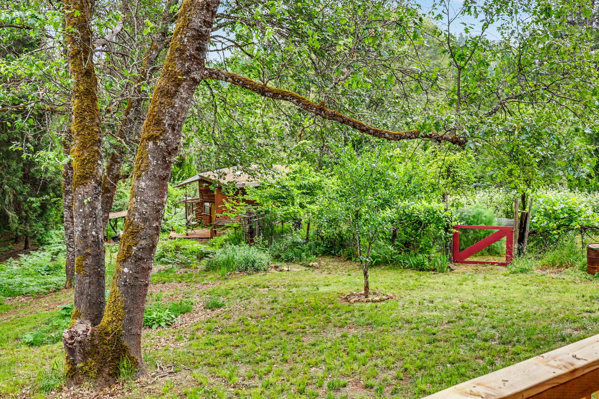 206 Lower Wolf Creek Road