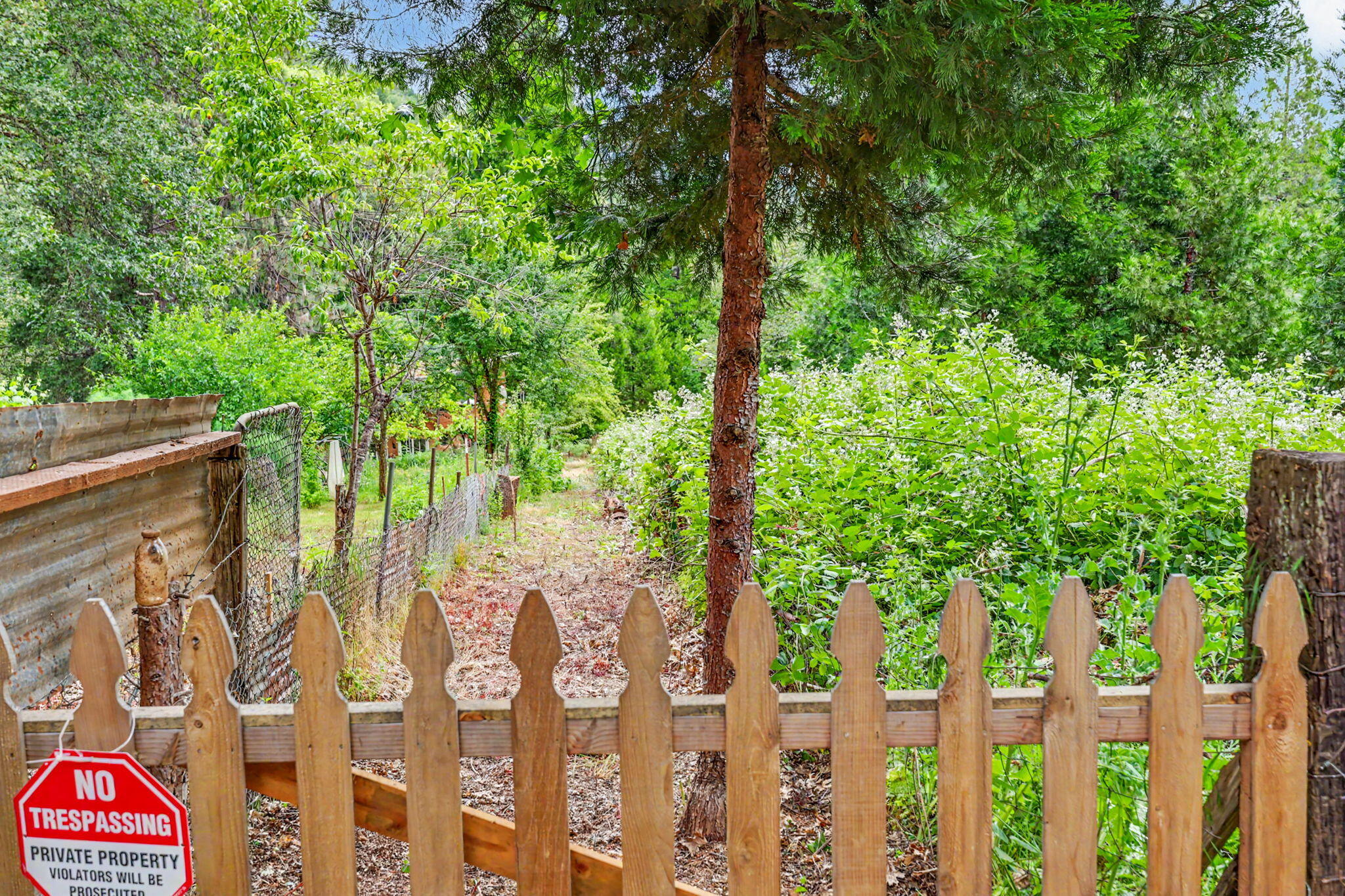 206 Lower Wolf Creek Road