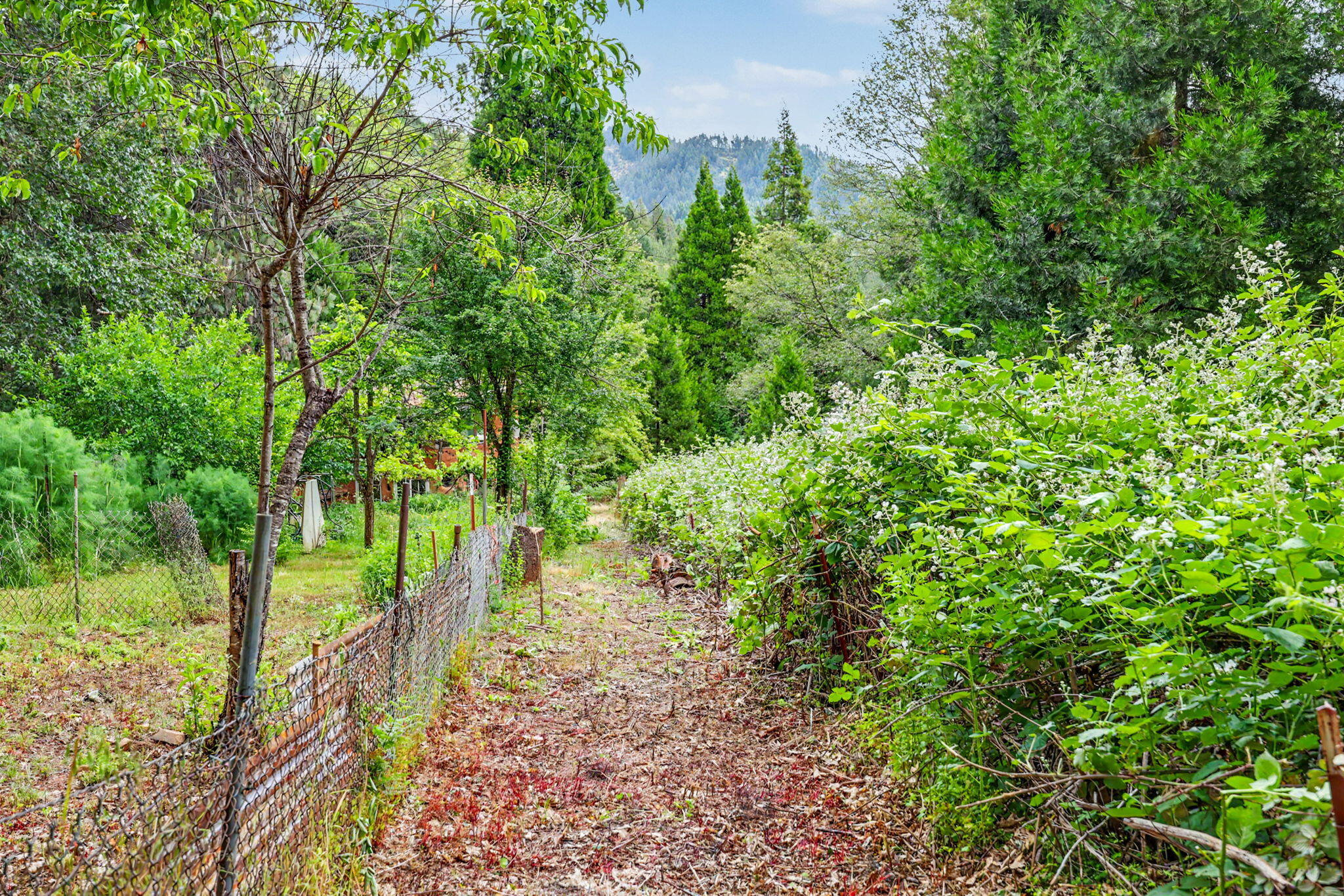 206 Lower Wolf Creek Road