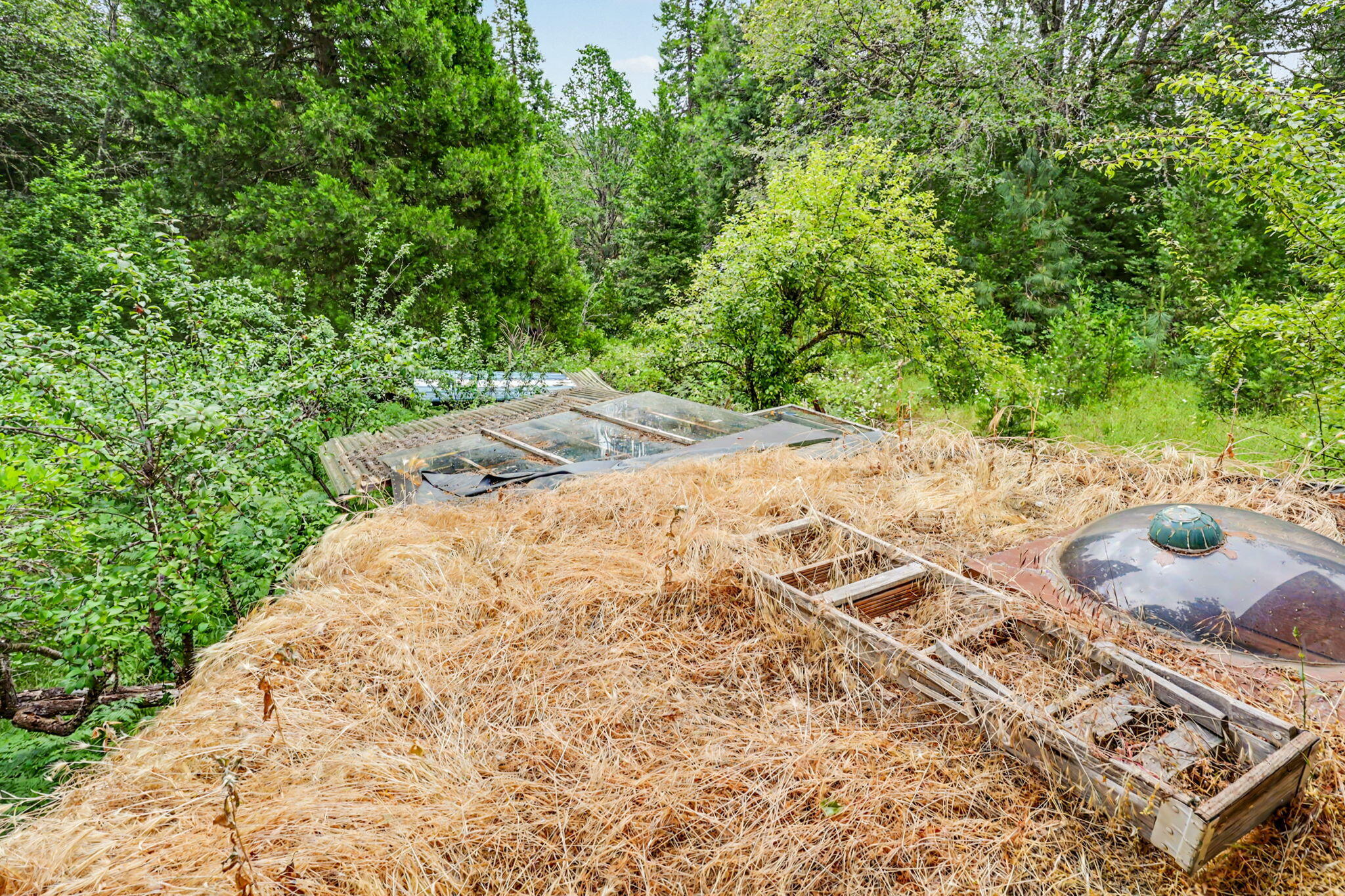 206 Lower Wolf Creek Road