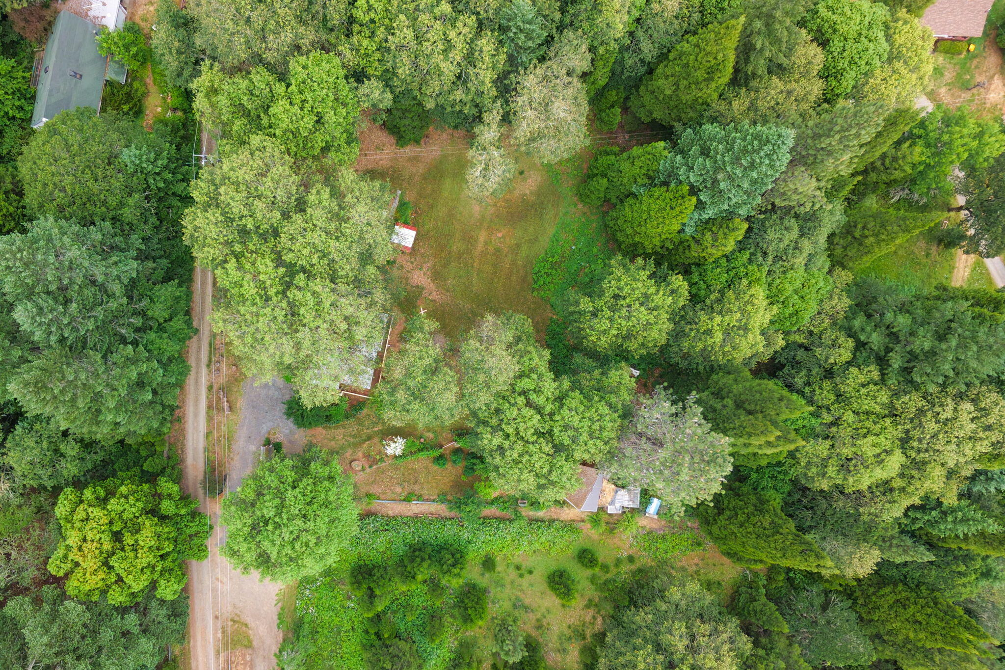 206 Lower Wolf Creek Road