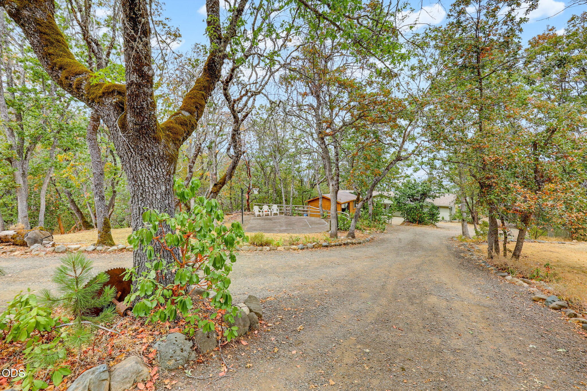 2590 Siskiyou Highway