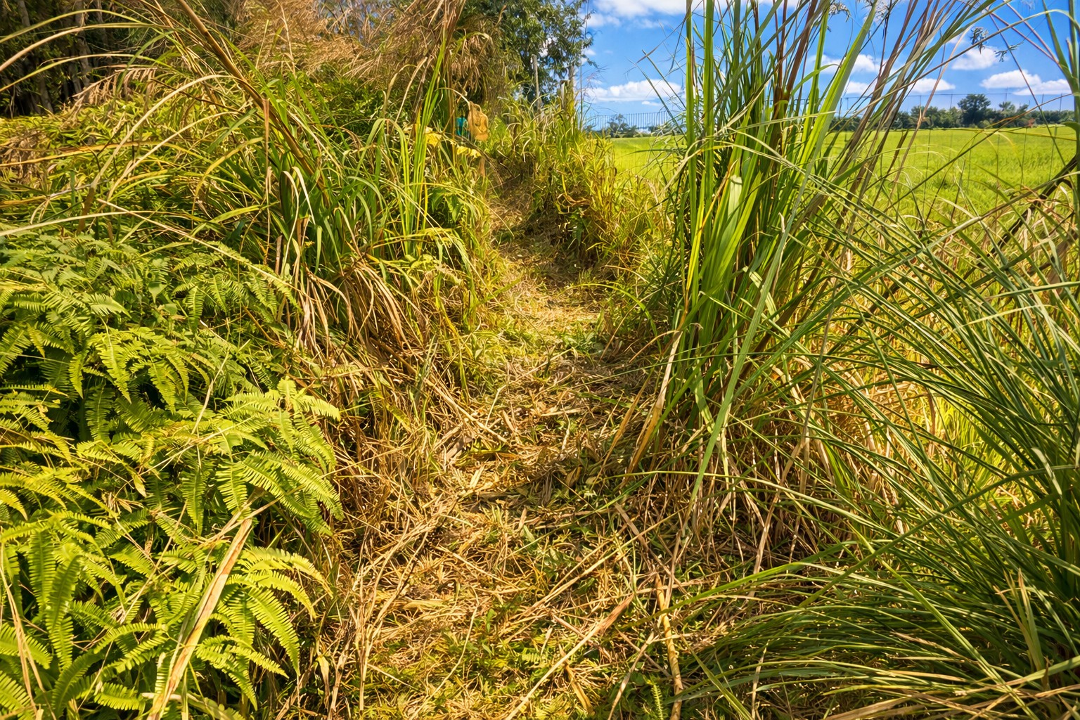 29-2584 KAIWIKI HOMESTEAD RD