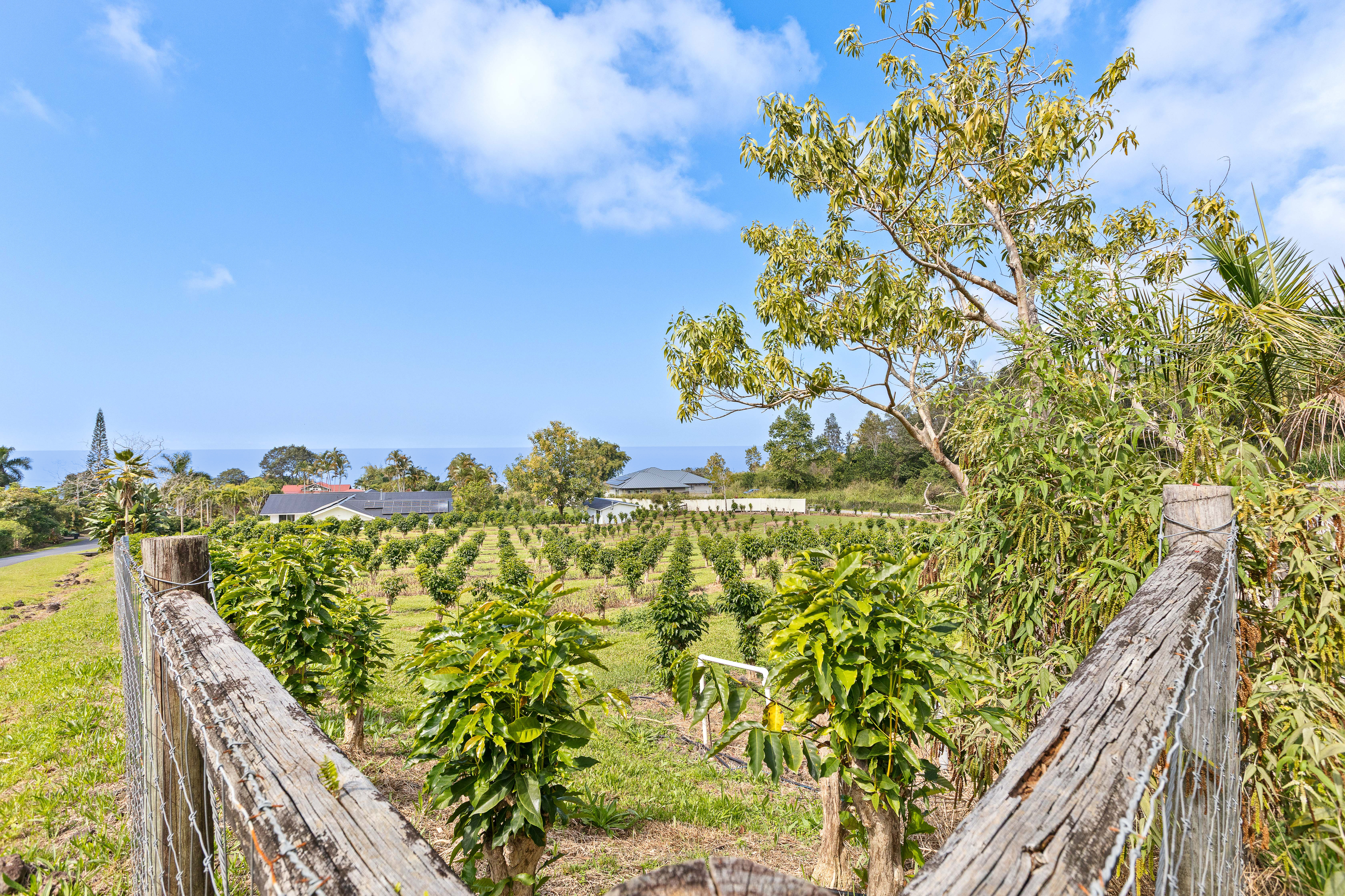 75-1069-A KAMALANI ST