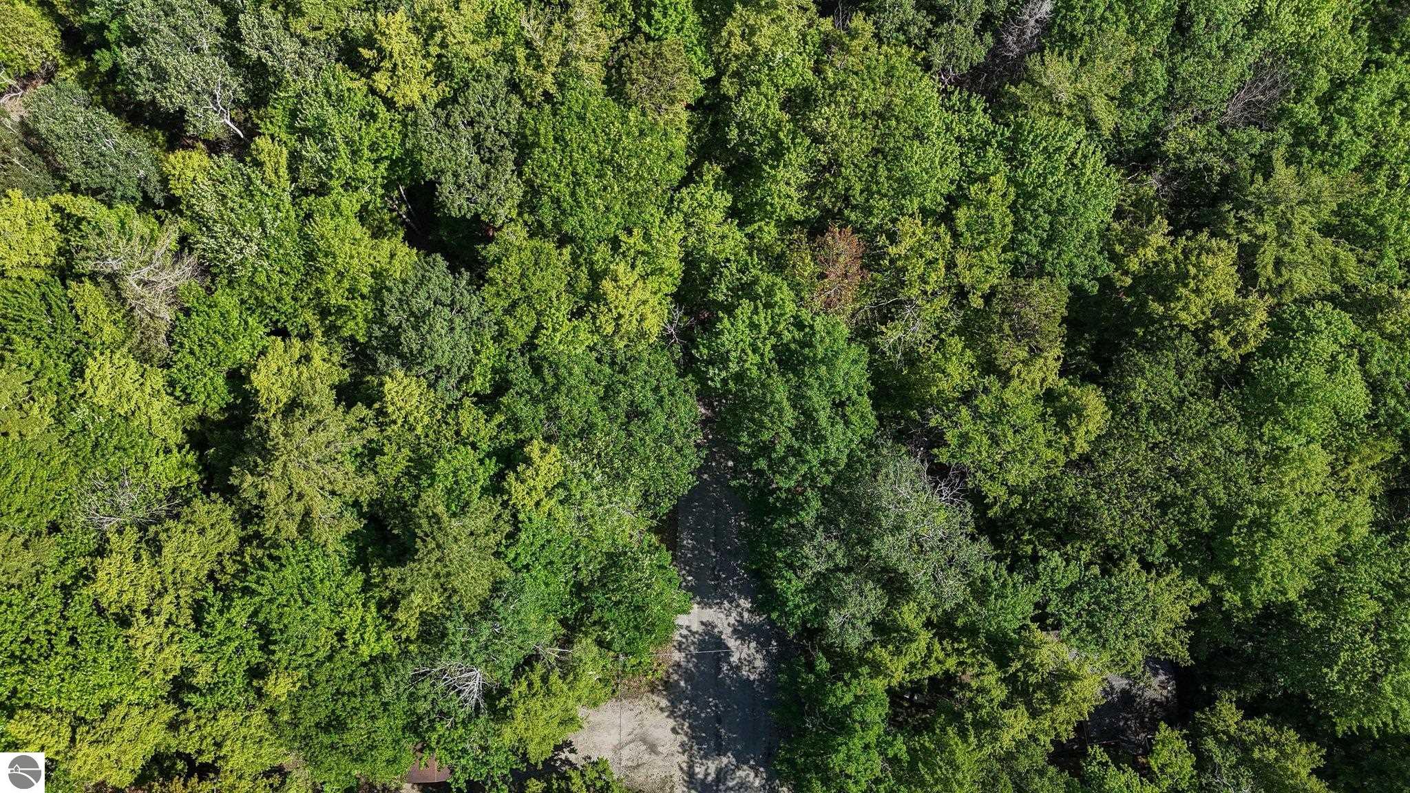 13035 N Forest Beach Shores