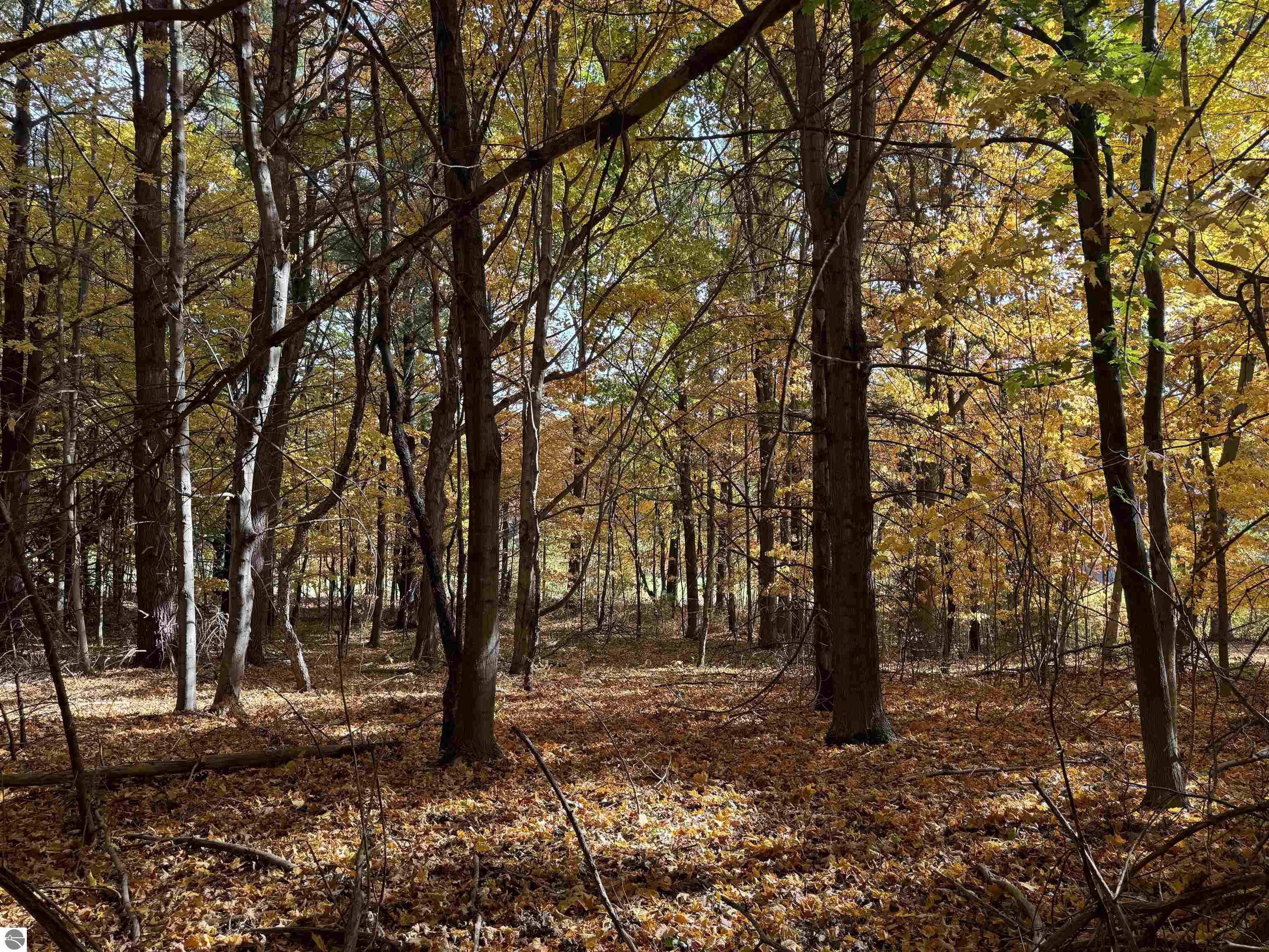 Lot 11 N Country Club Commons