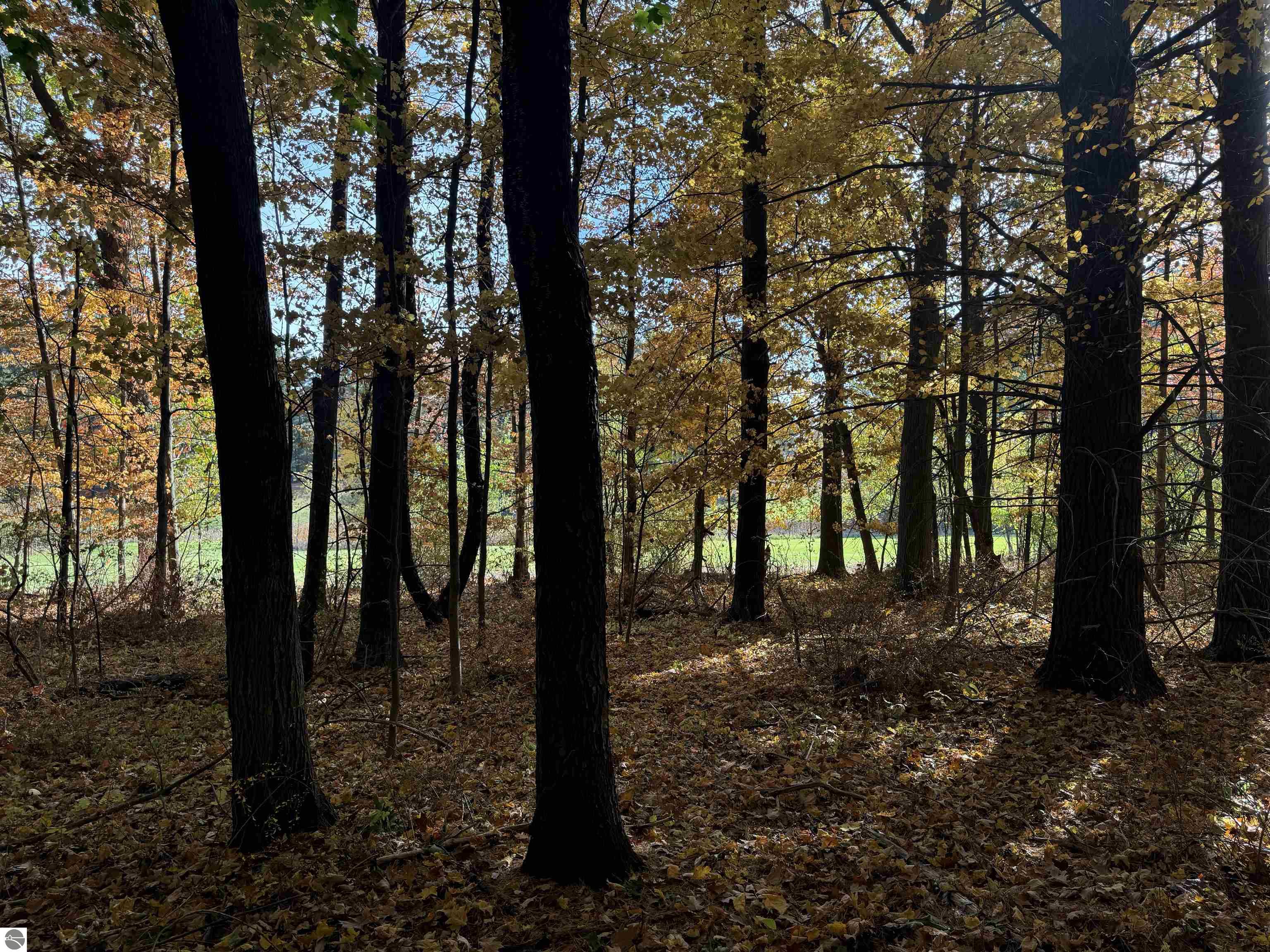 Lot 11 N Country Club Commons