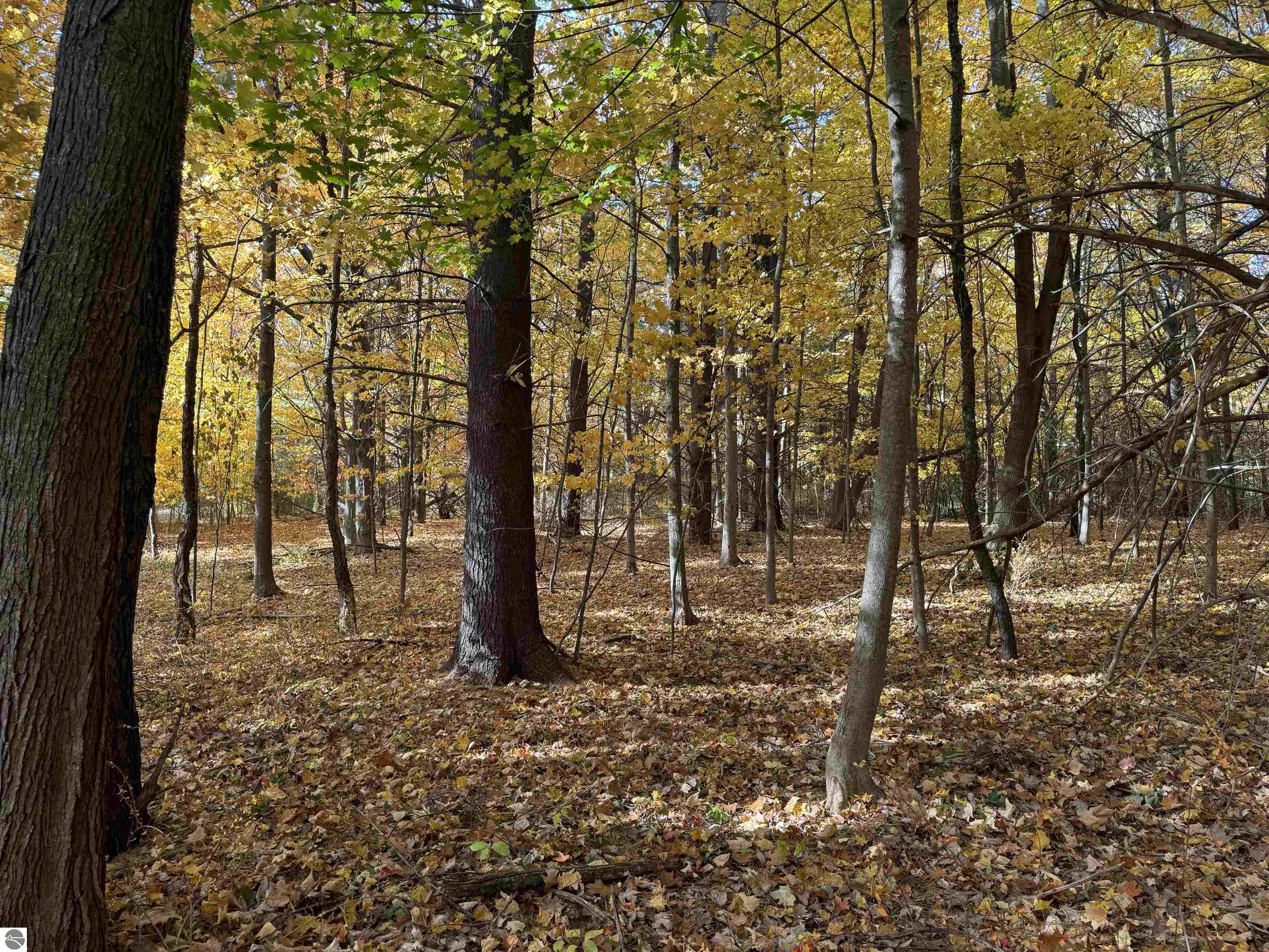 Lot 11 N Country Club Commons