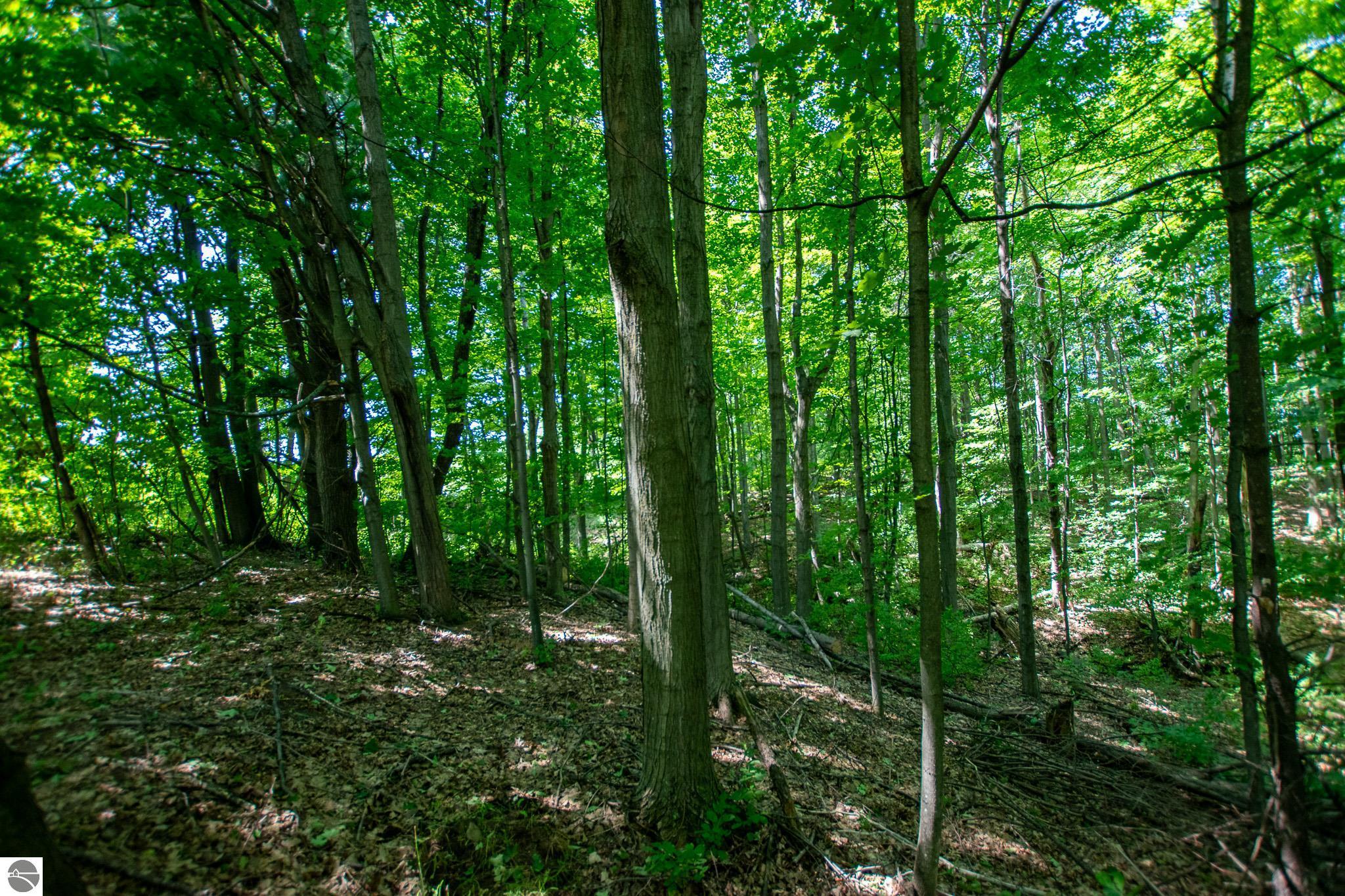 6350 E Horn Road