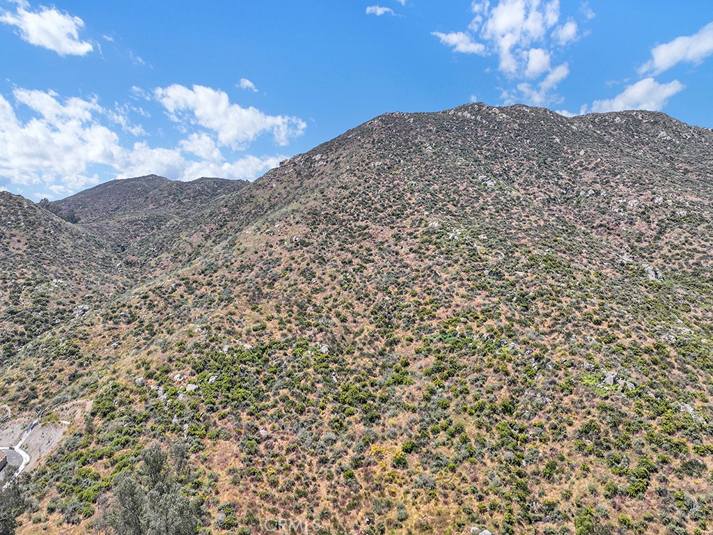 32177 Prairie Crossing Drive