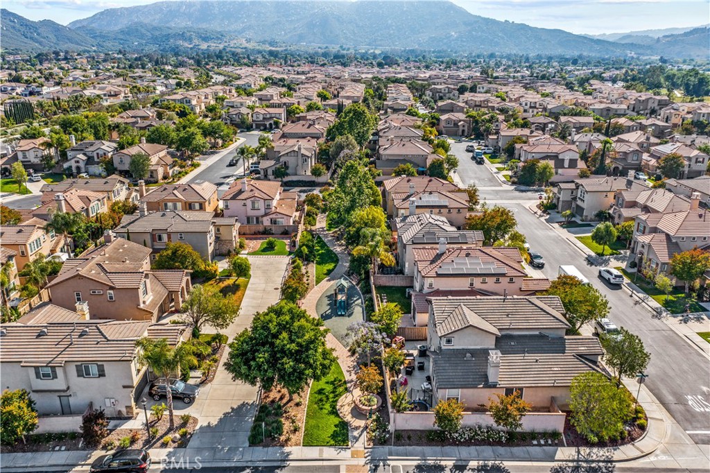 31250 Mangrove Drive