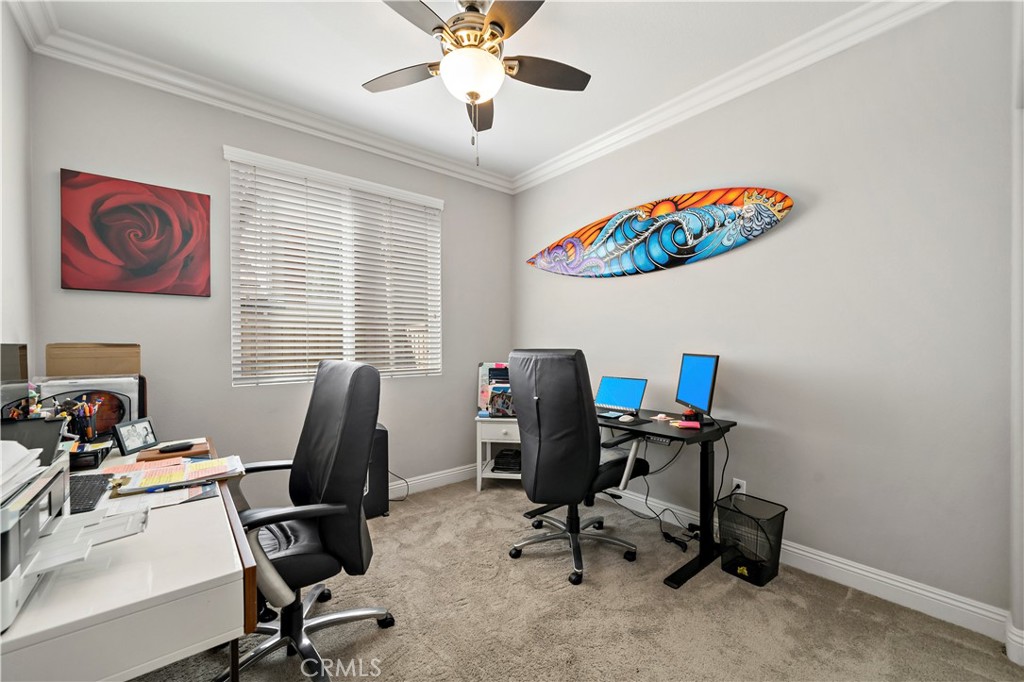 31250 Mangrove Drive