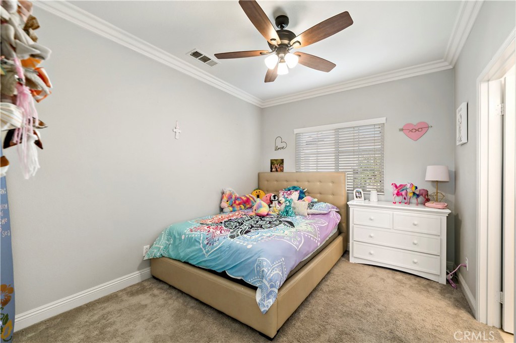 31250 Mangrove Drive