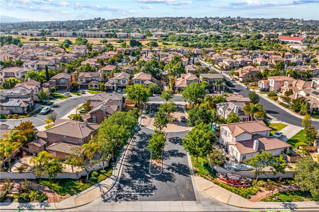 31250 Mangrove Drive