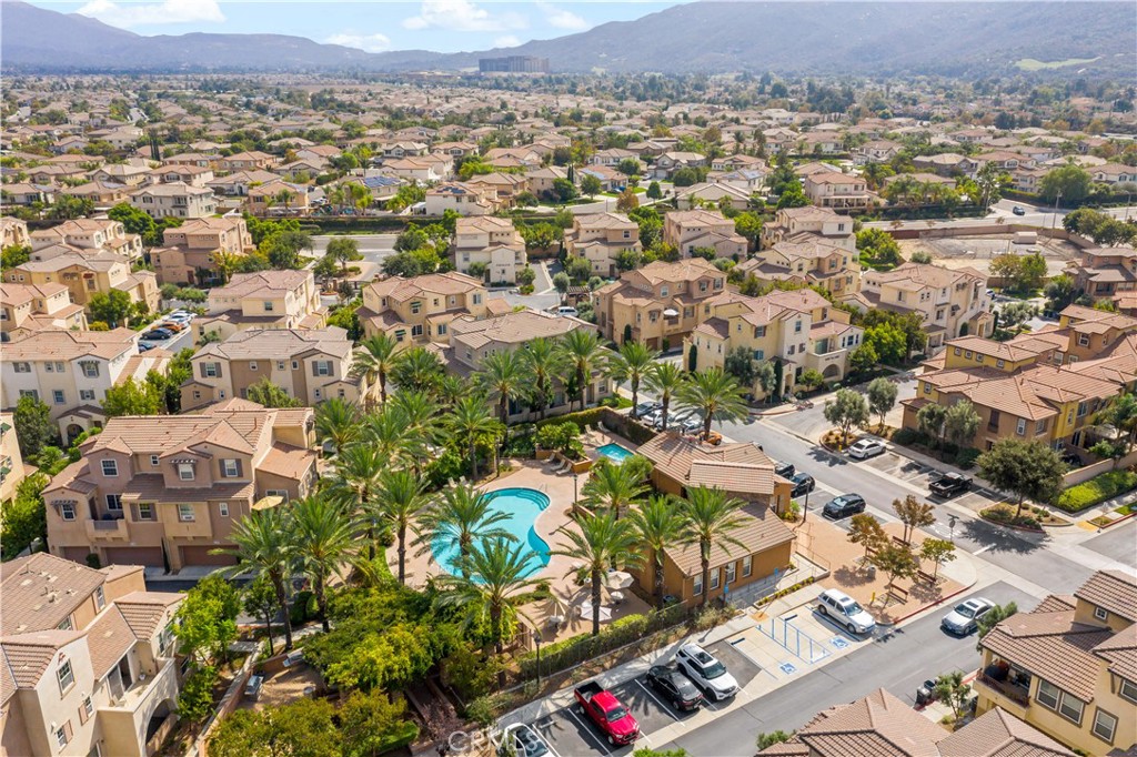 31250 Mangrove Drive