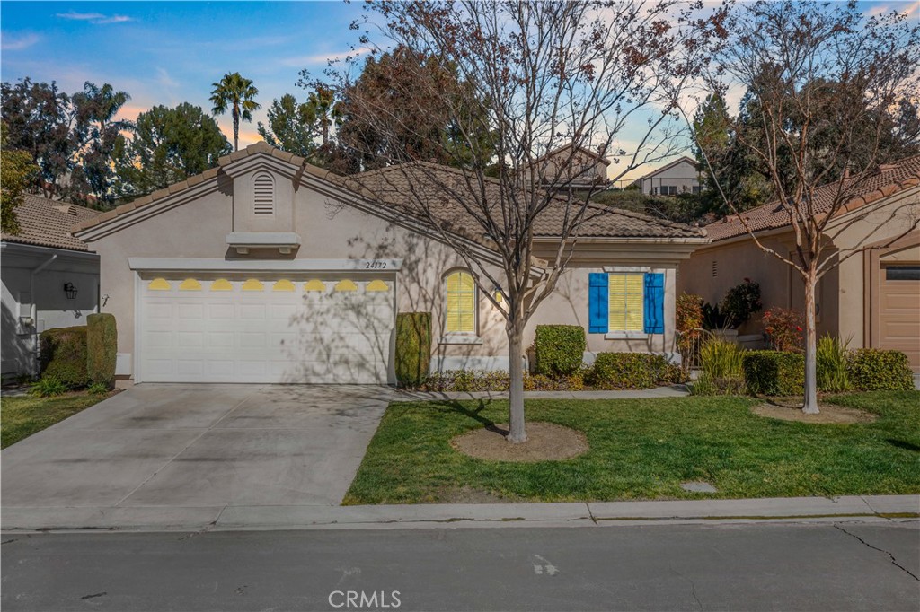 24172 Calle Artino
