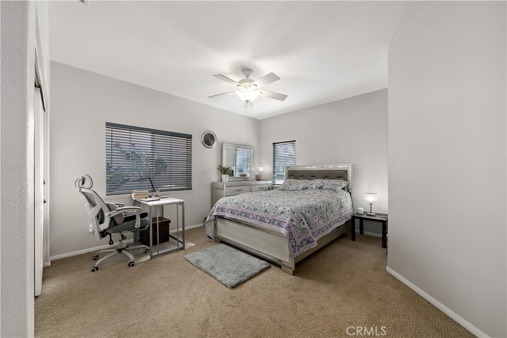 24172 Calle Artino