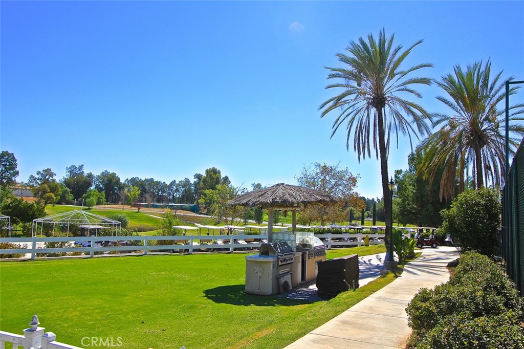 24172 Calle Artino