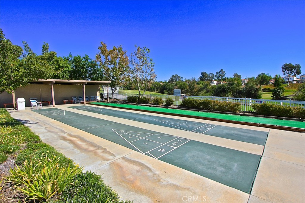 24172 Calle Artino