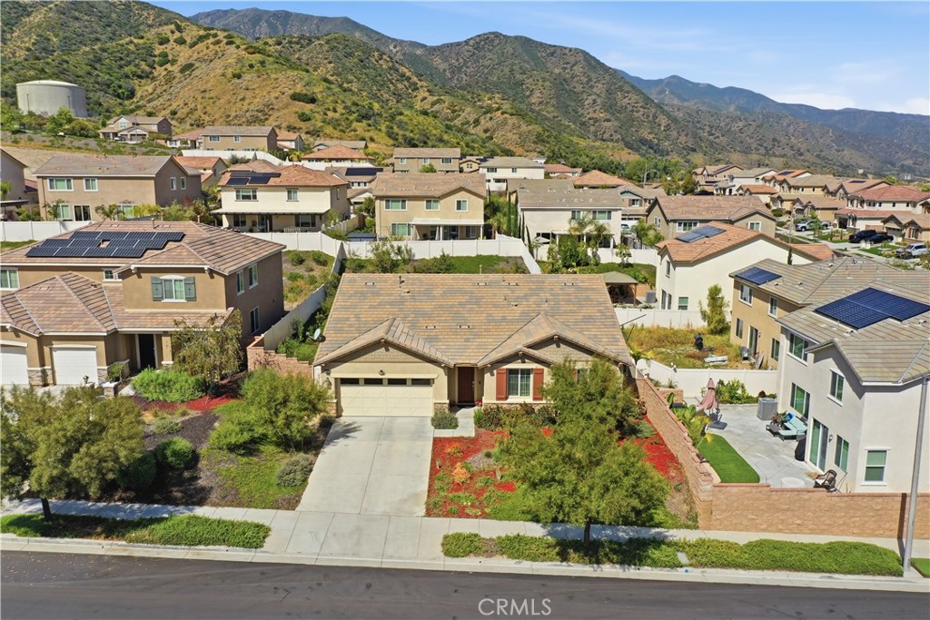 26305 Plumcot