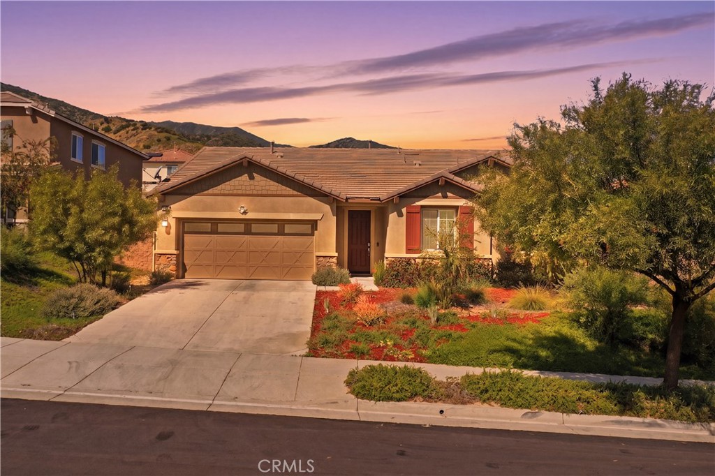 26305 Plumcot