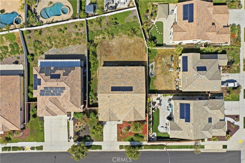 26305 Plumcot