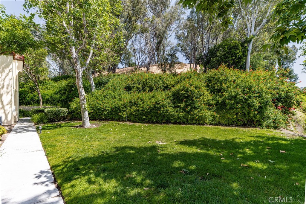 21256 Camelia