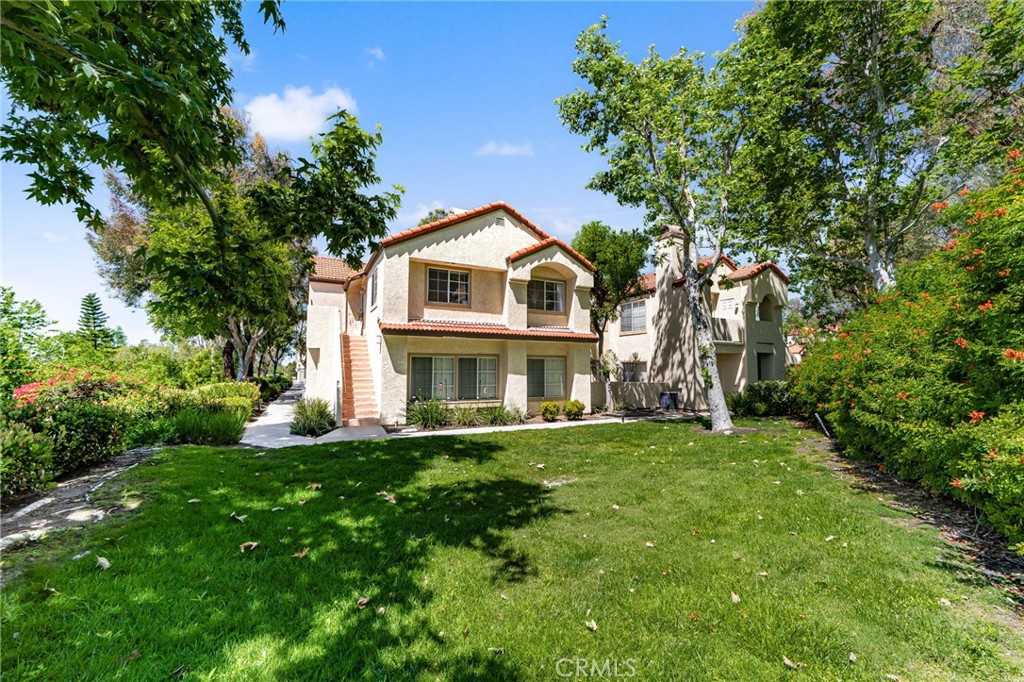 21256 Camelia