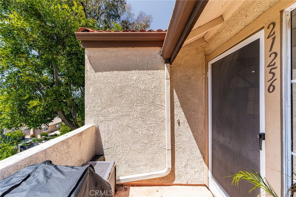 21256 Camelia