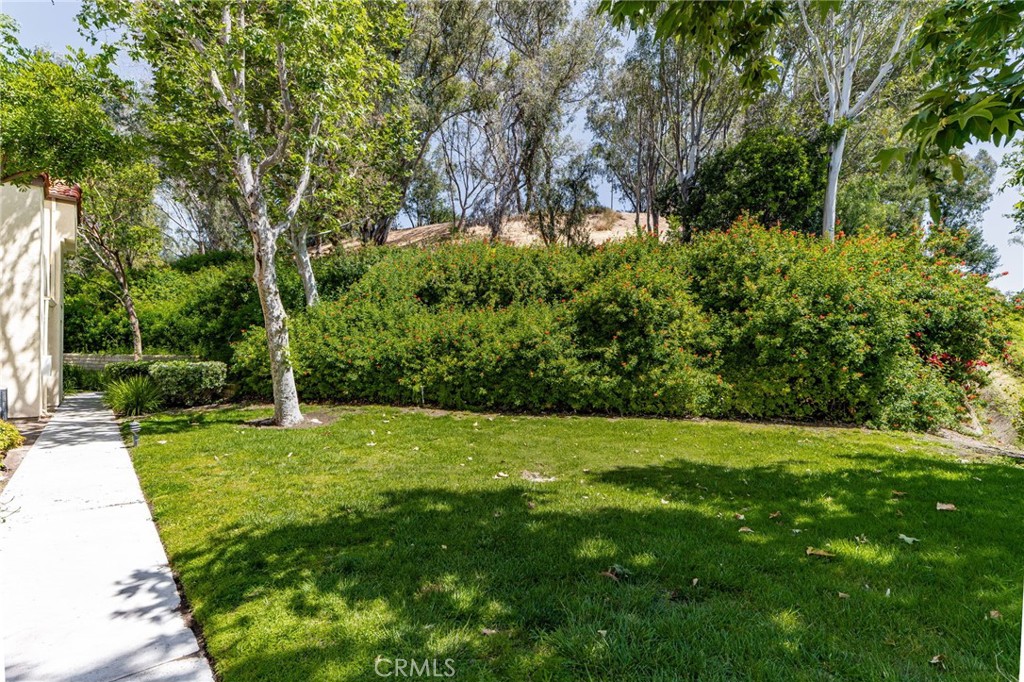 21256 Camelia